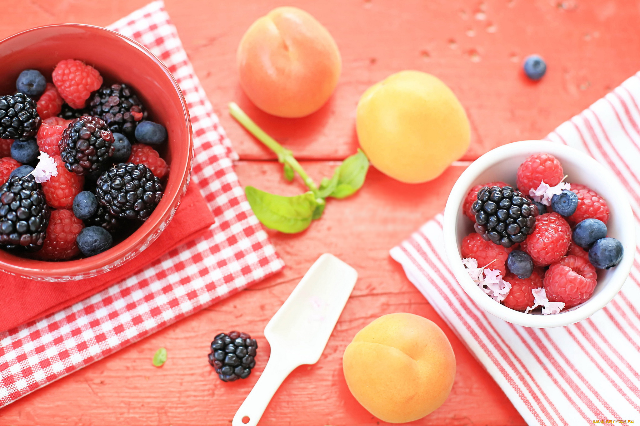 еда, фрукты, , ягоды, малина, ежевика, черника, абрикос