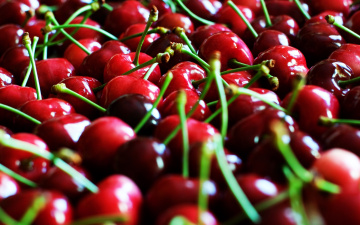Картинка еда вишня +черешня хвосткики ягоды черешня