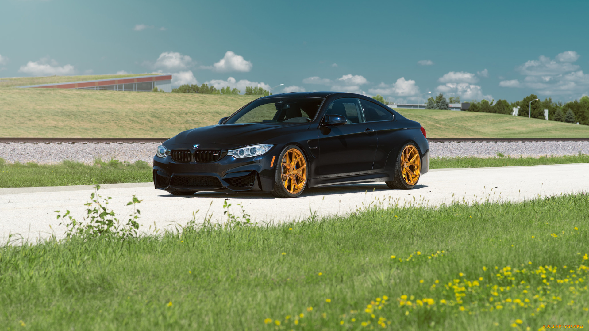 автомобили, bmw, grass, day, car, front, summer, m4, azurite, black