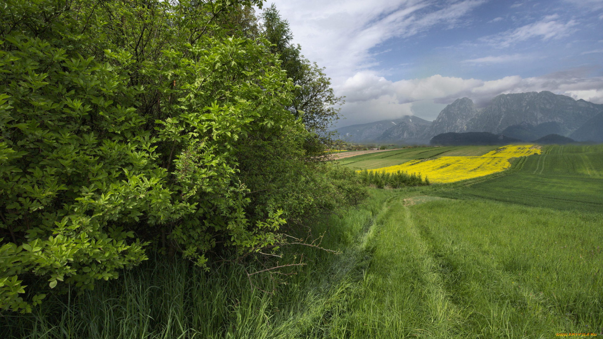 природа, пейзажи, простор