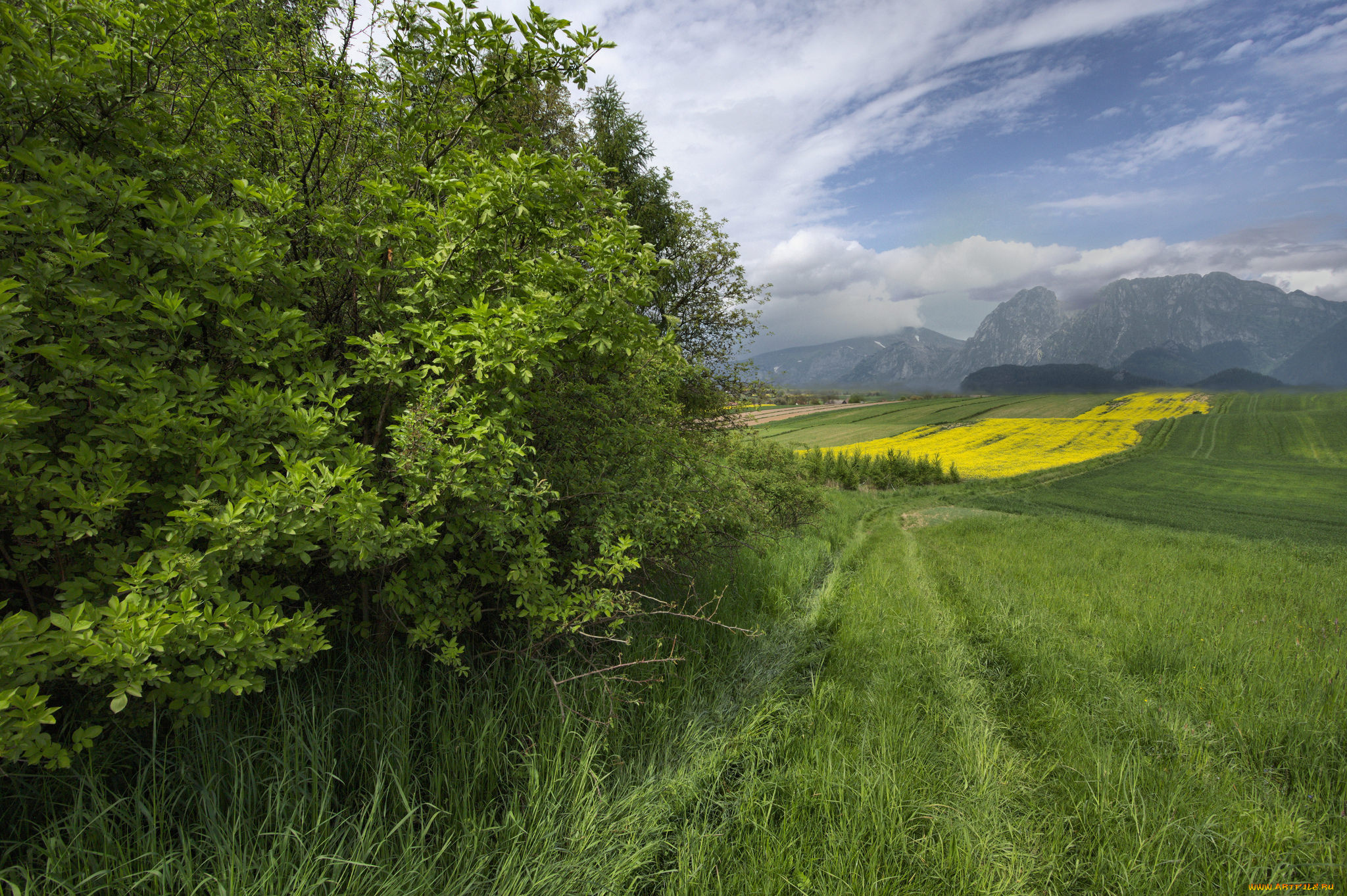 природа, пейзажи, простор