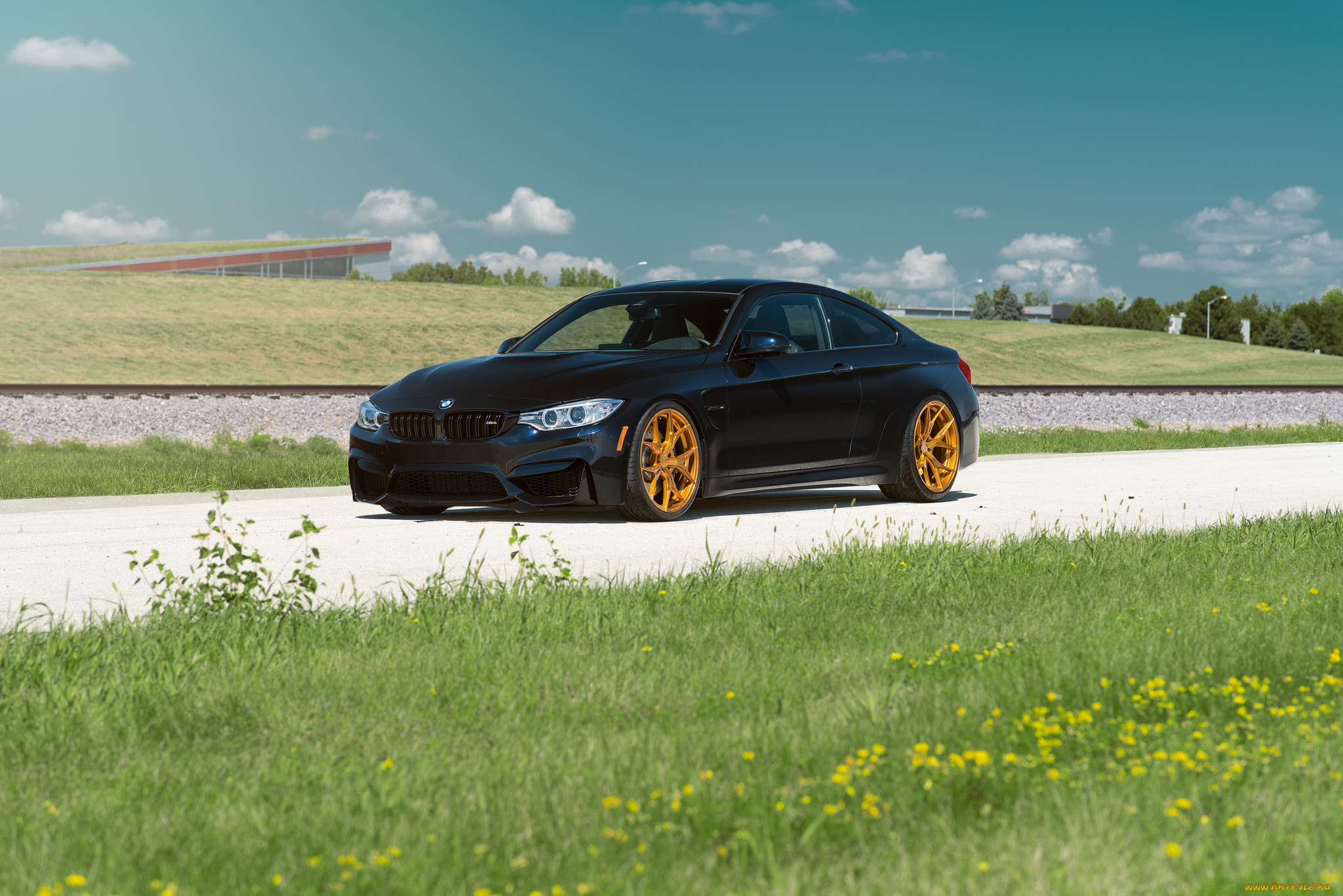 автомобили, bmw, grass, day, car, front, summer, m4, azurite, black