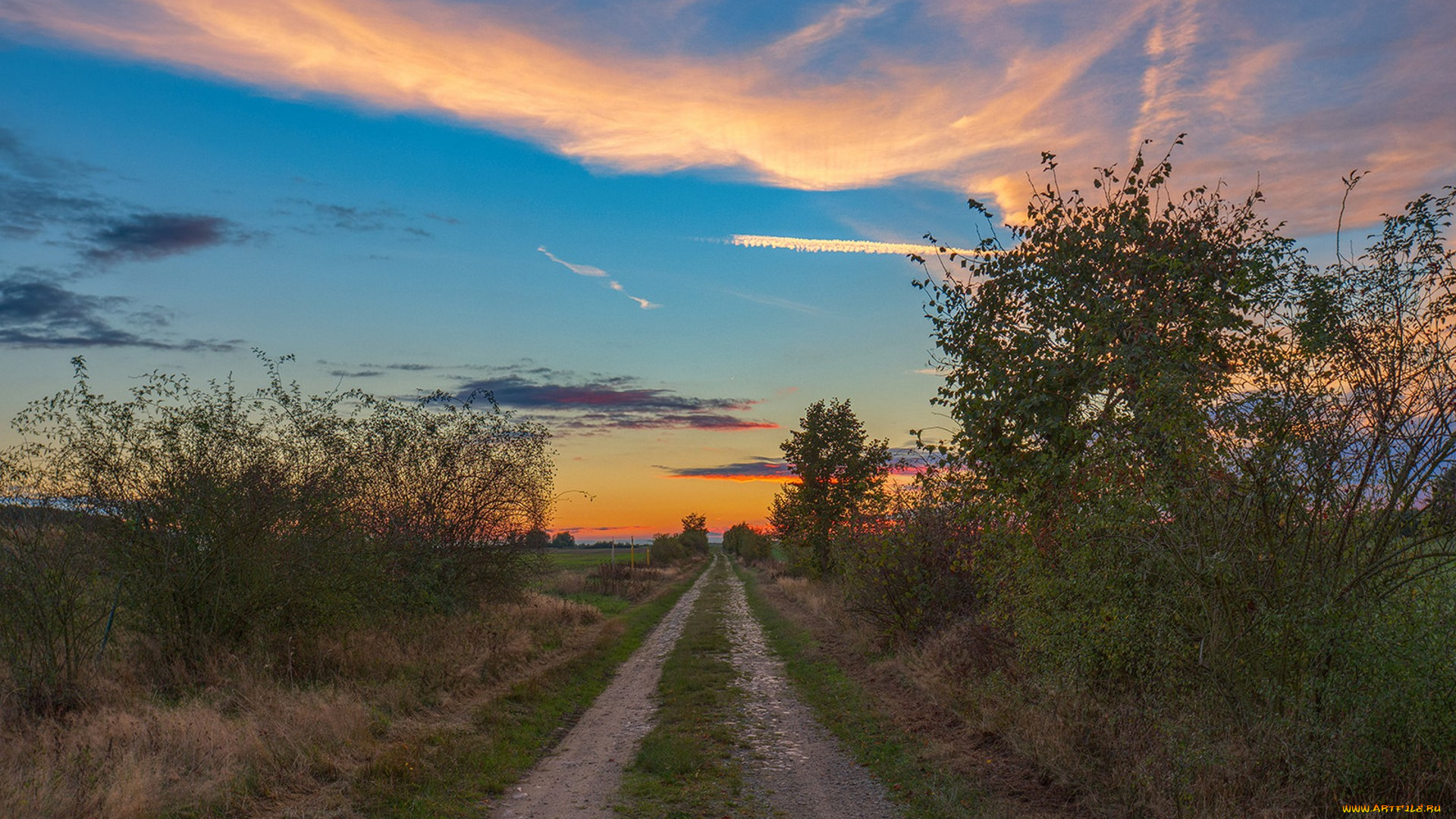 природа, дороги, простор