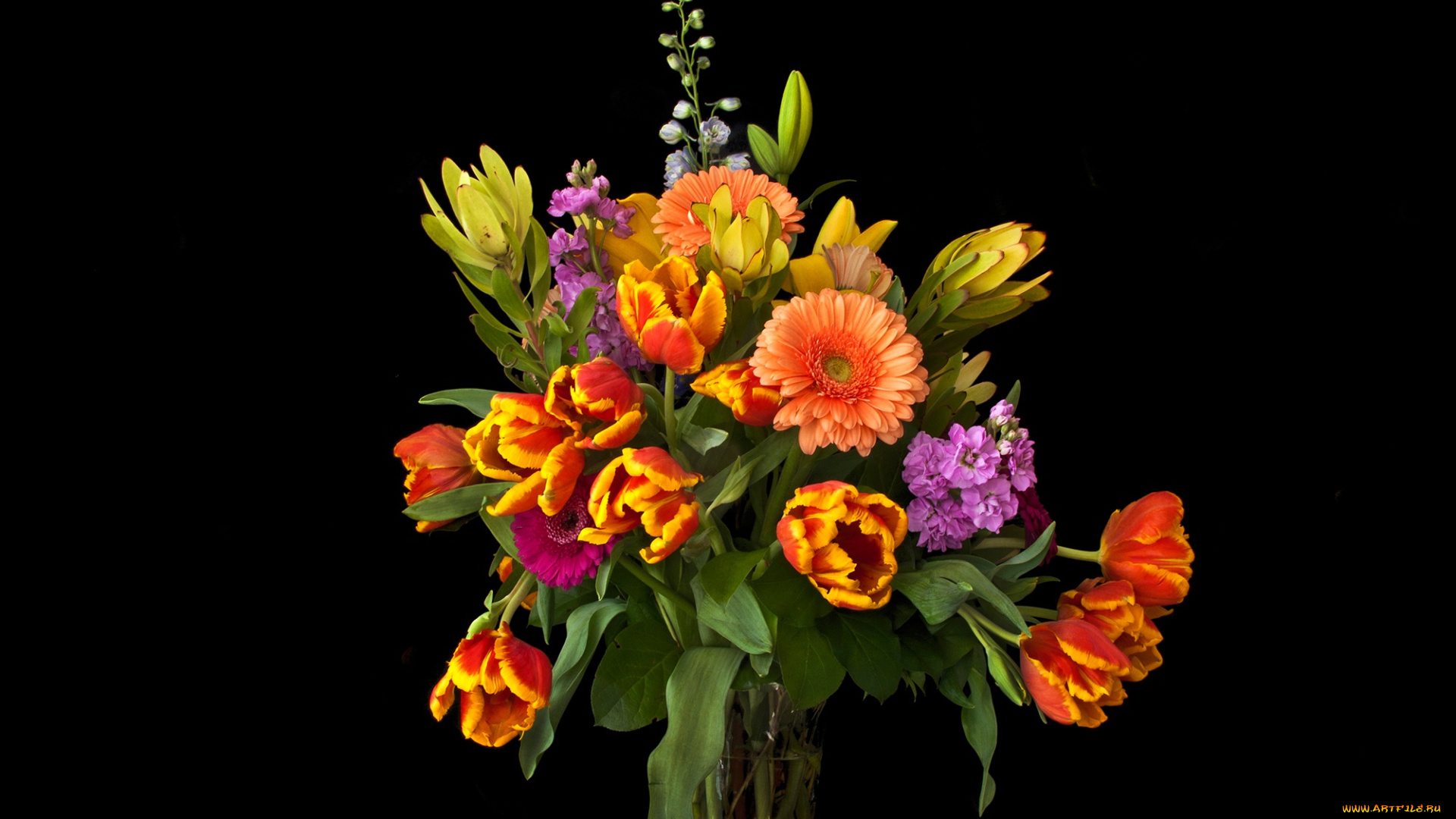 цветы, букеты, , композиции, букет, тюльпаны, ваза, маттиола, черный, фон, герберы, левкой
