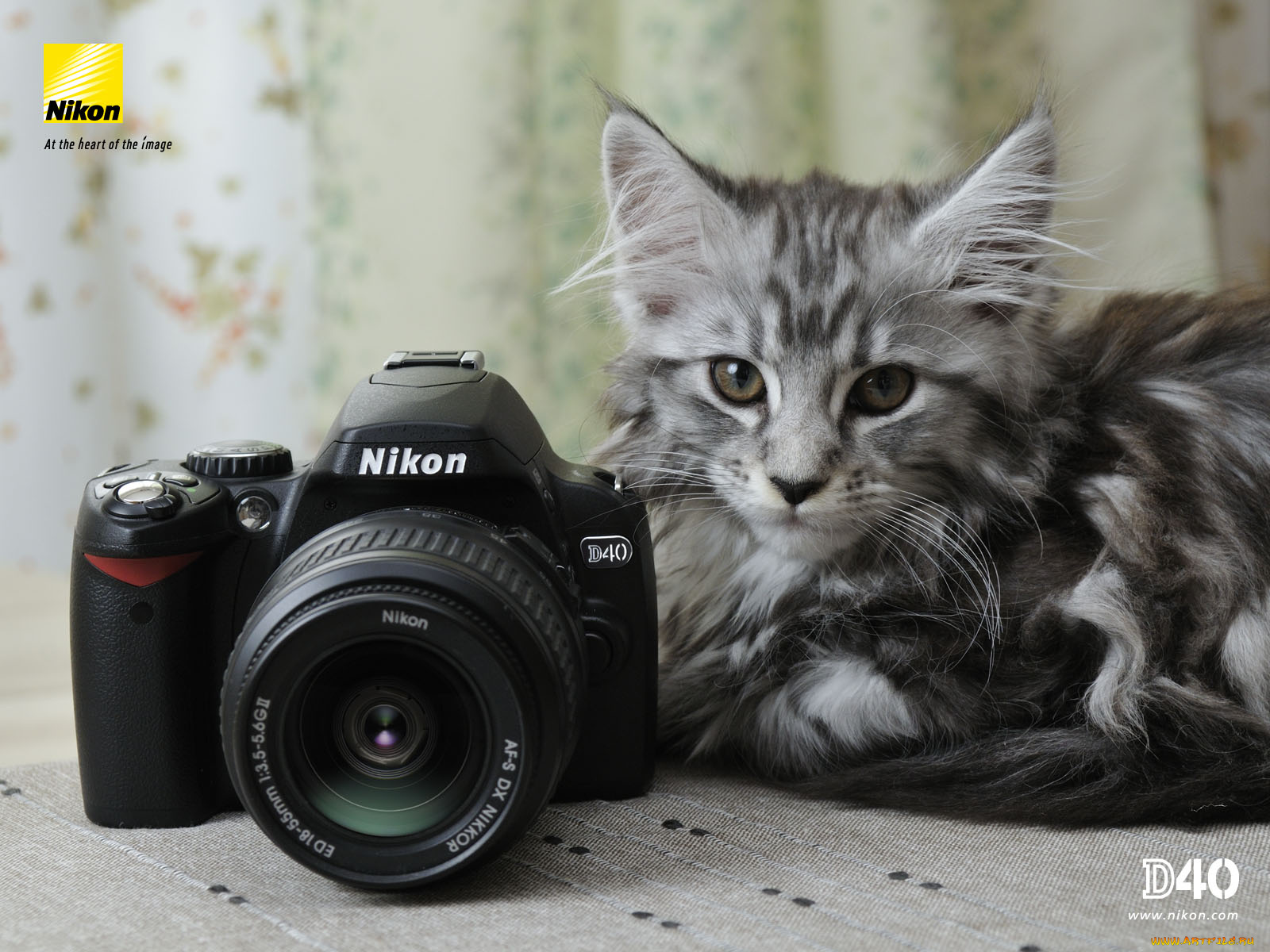 бренды, nikon