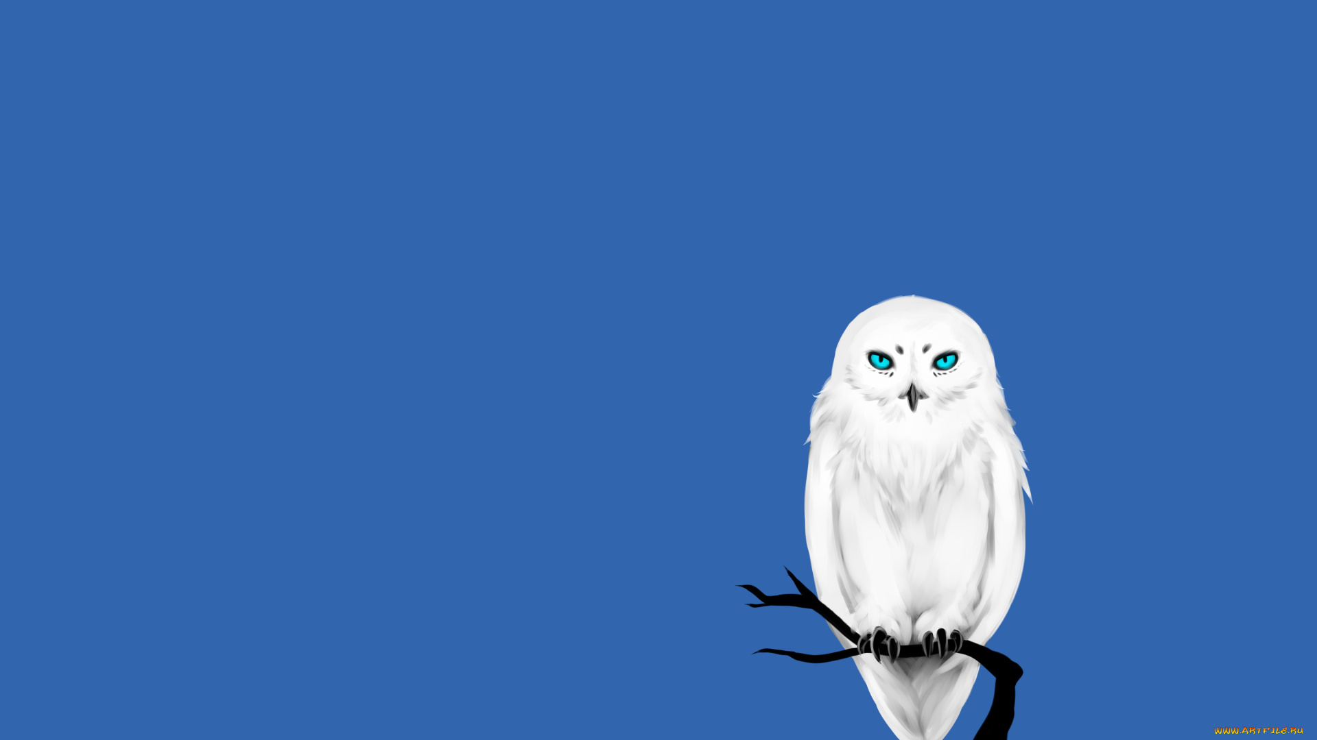 рисованное, минимализм, птица, owl, синий, фон, дерево, сова, ветка, белая
