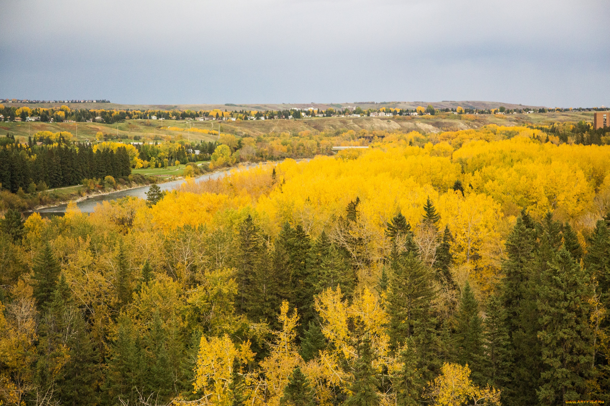 природа, лес, река, канада, calgary, желтые, осень, деревья, домики, поля