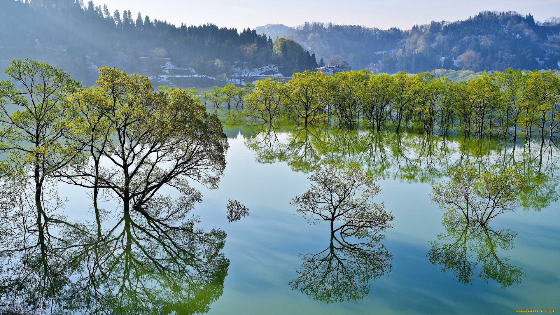 природа, реки, озера, отражение, деревья, озеро, Япония, yamagata, iide, Ямагата, ииде, japan, сиракава, lake, shirakawa