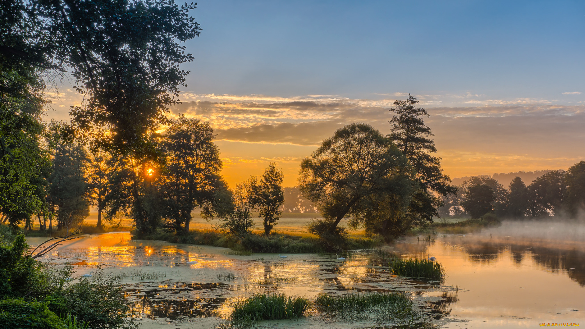 природа, реки, озера, река, лес