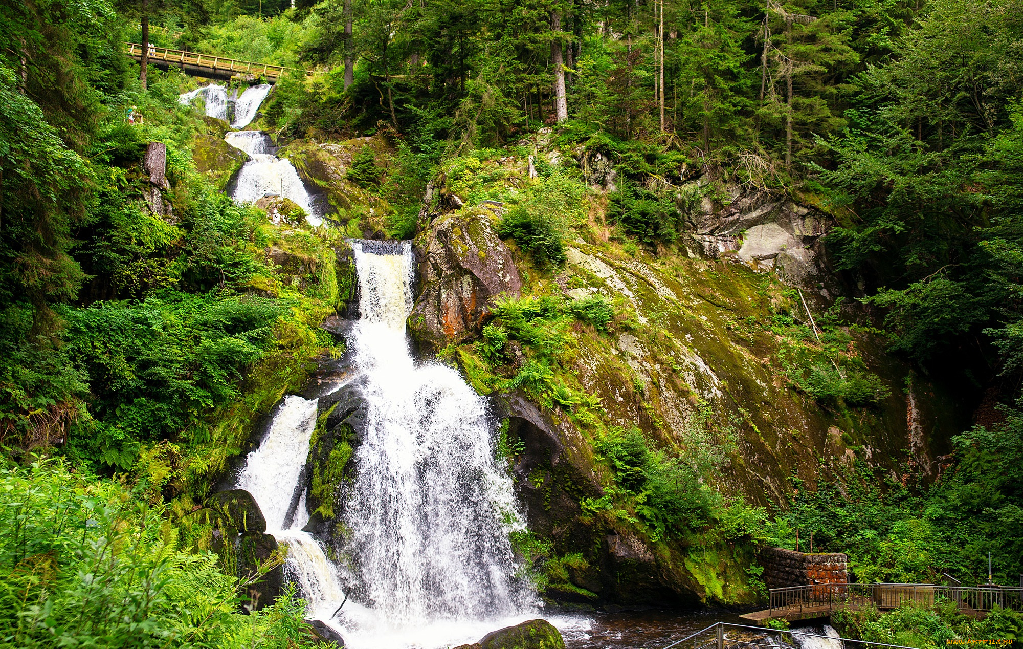 природа, водопады, водопад, река, лес