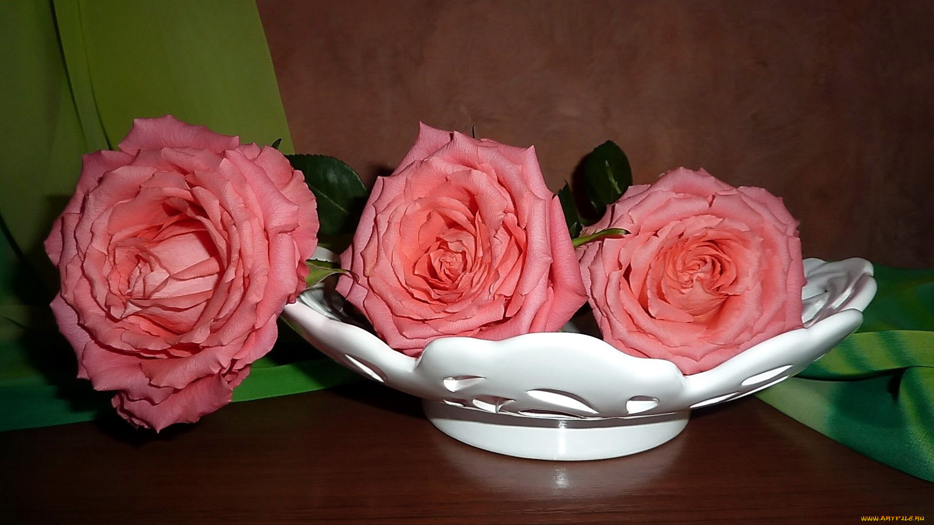 цветы, розы, трио, розовый