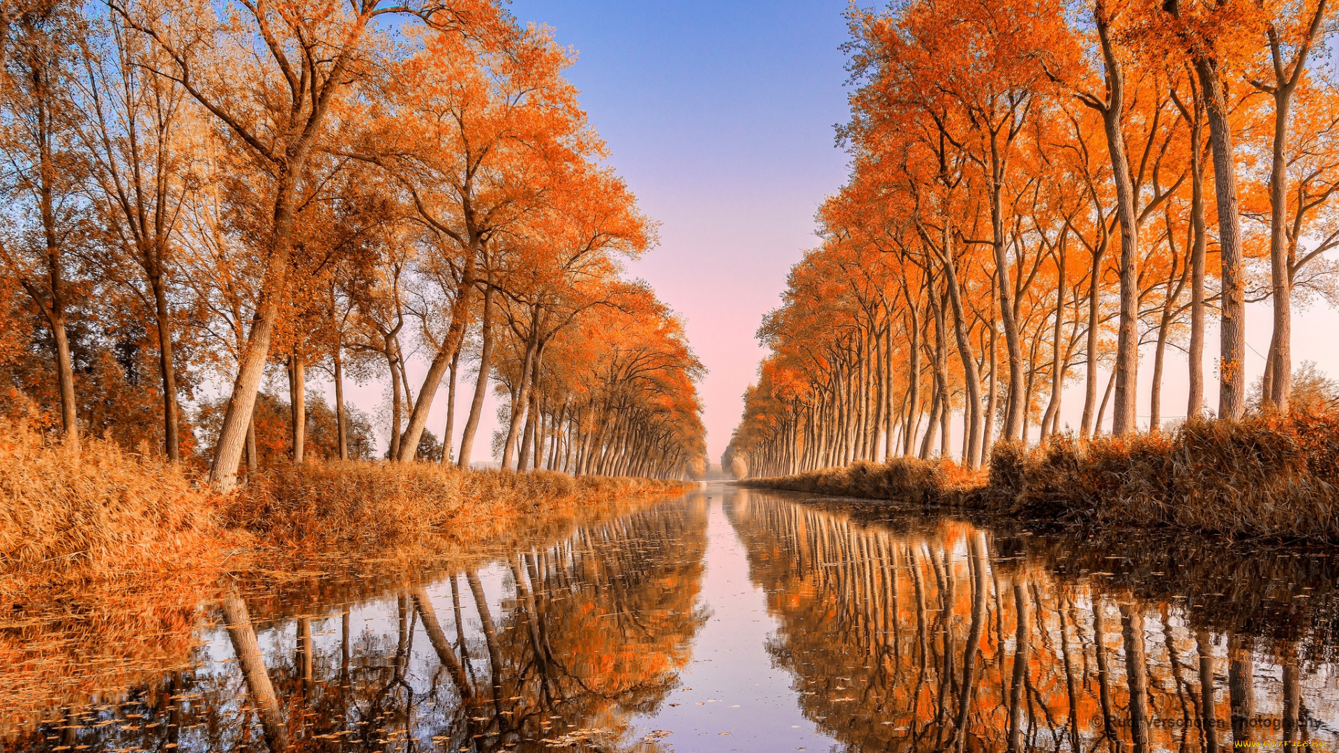 природа, реки, озера, река, деревья, осень