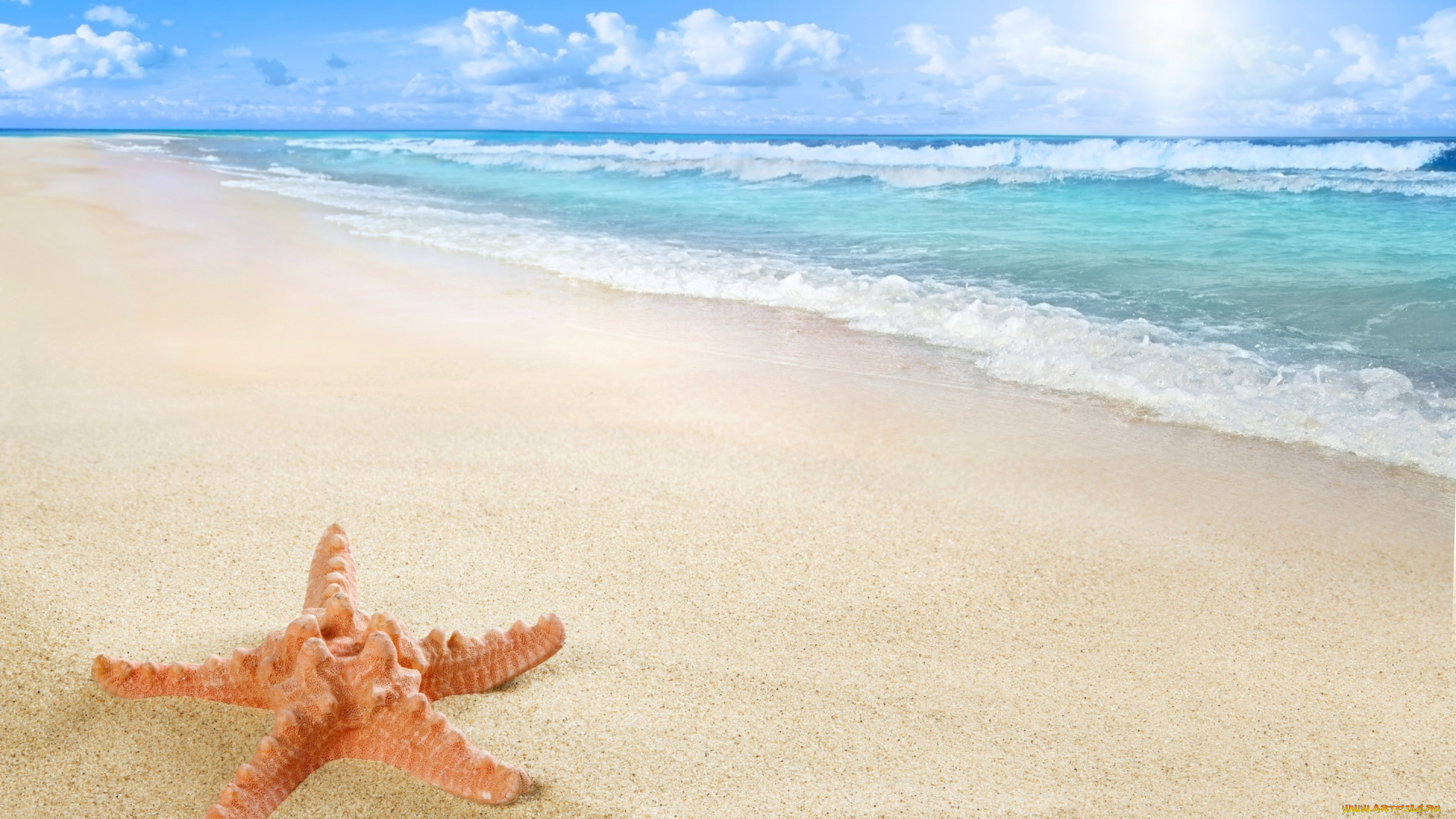 природа, тропики, starfish, sun, sea, sand, beach