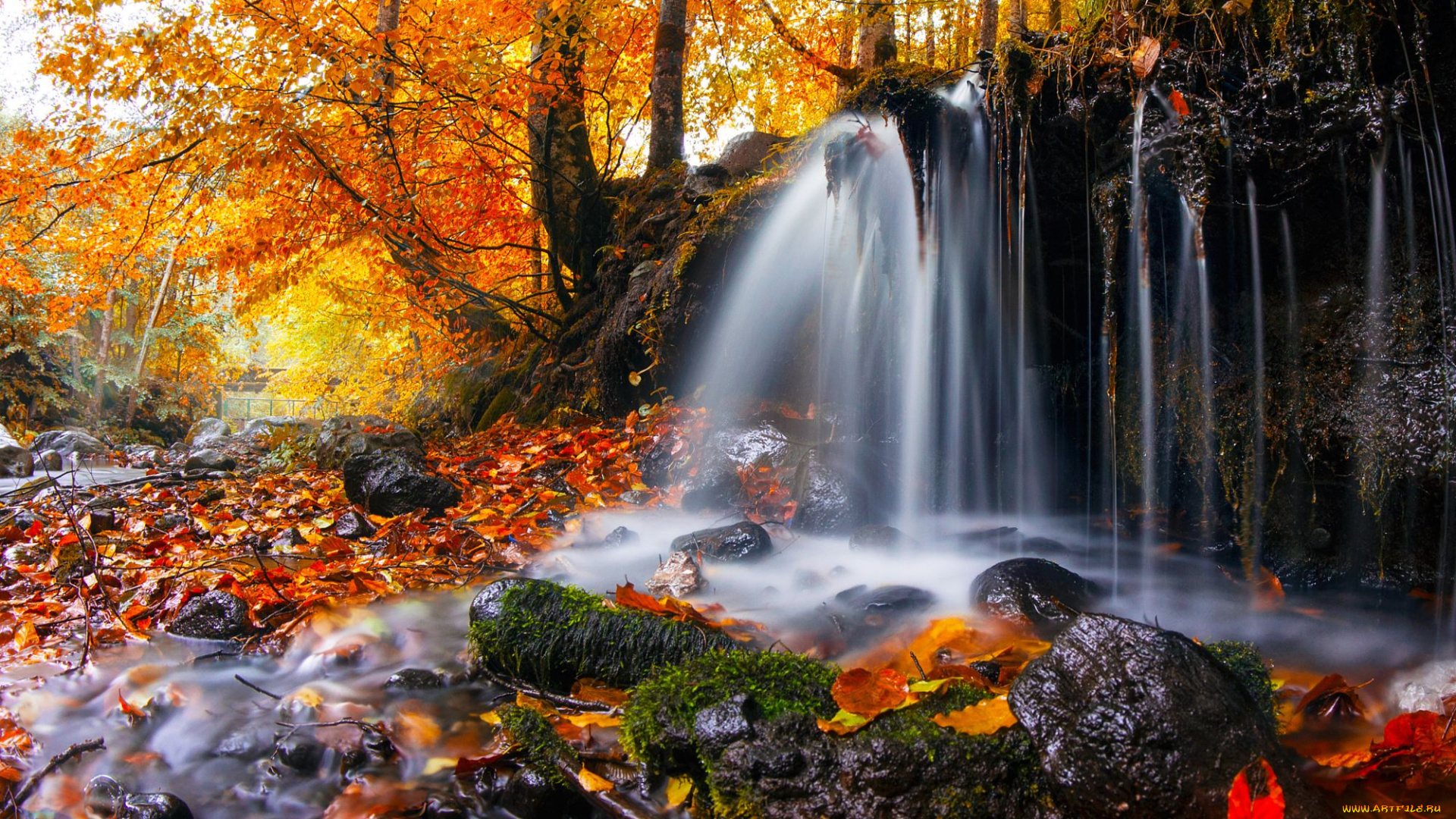 природа, водопады, лес, осень, водопад