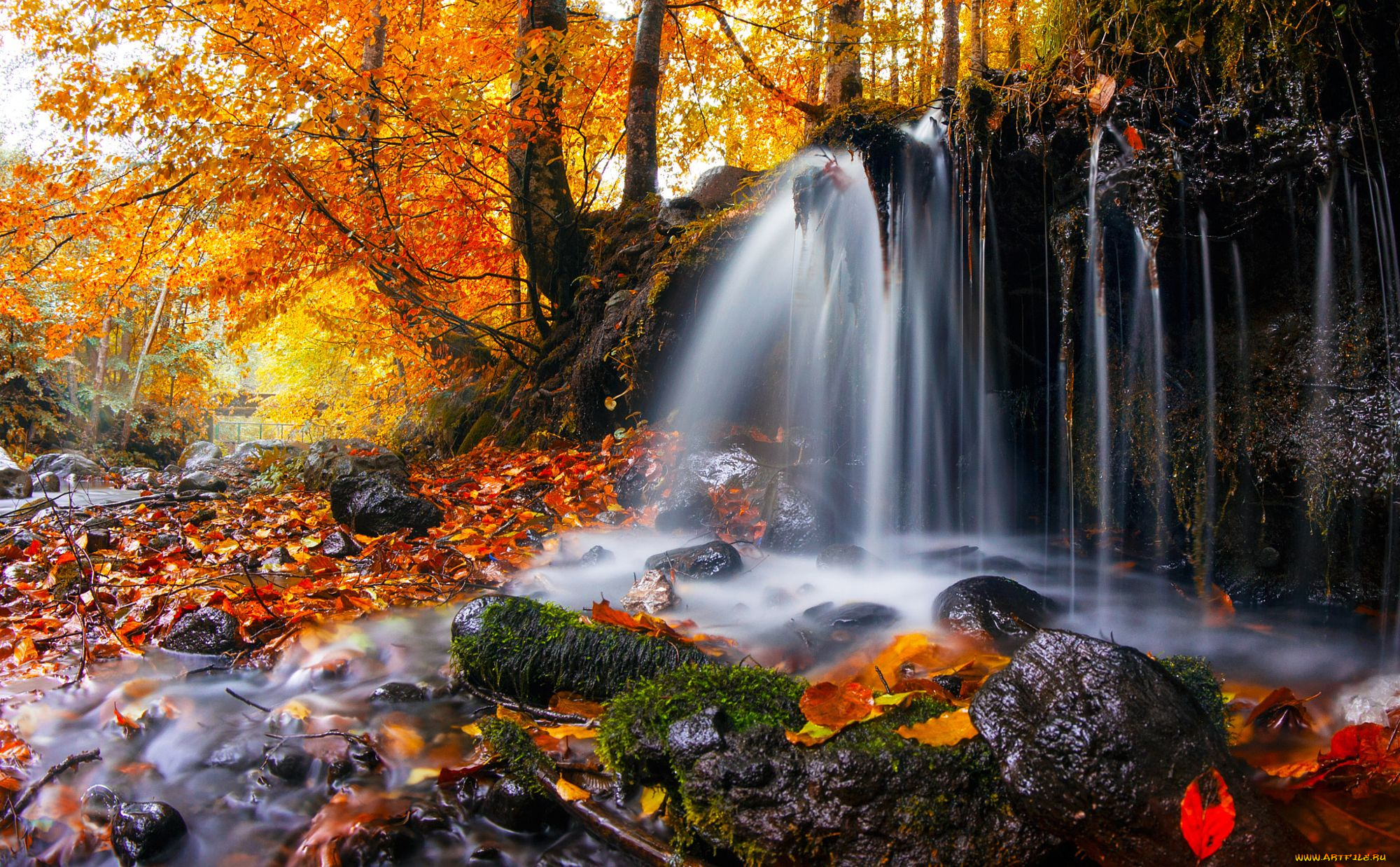 природа, водопады, лес, осень, водопад