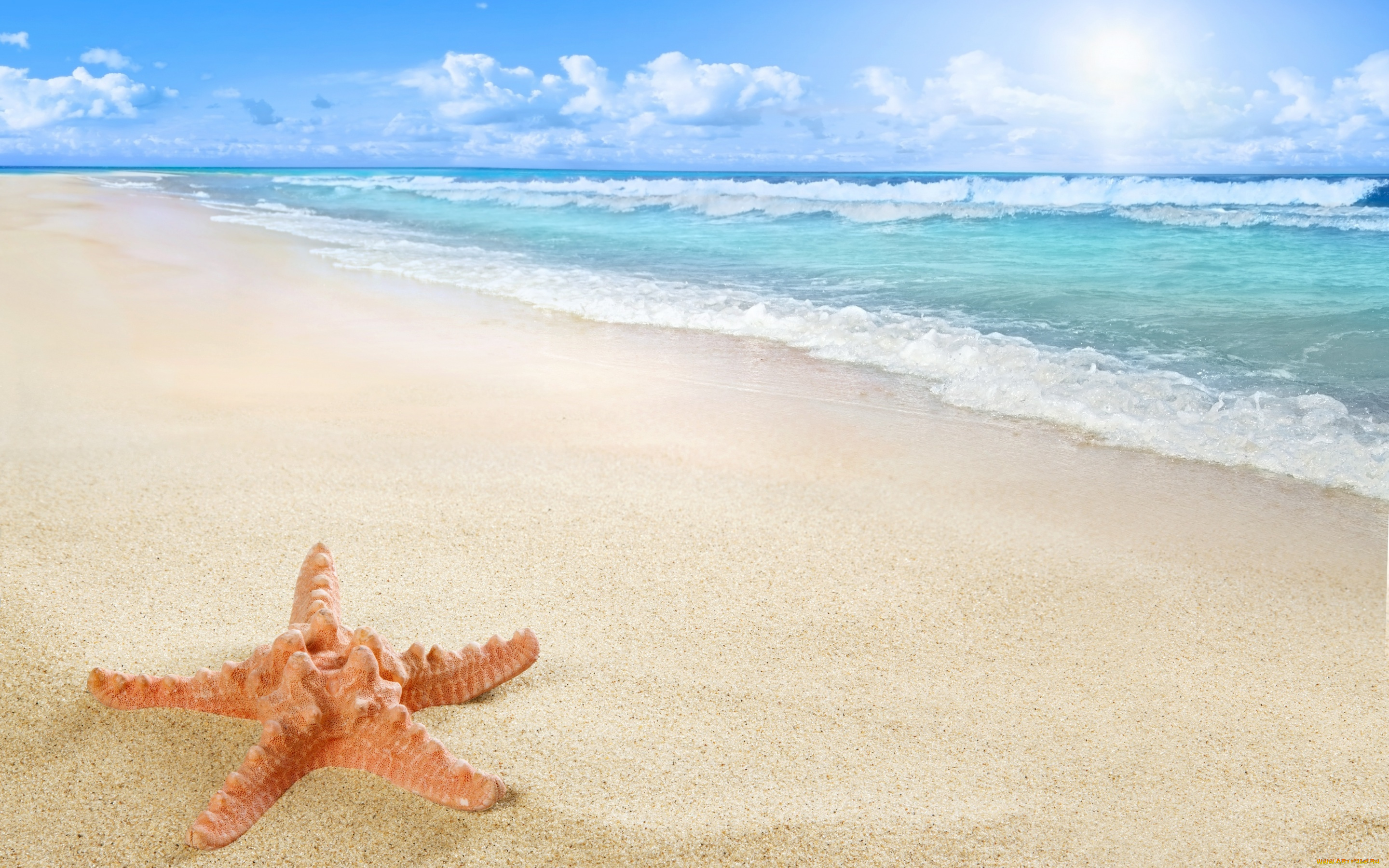 природа, тропики, starfish, sun, sea, sand, beach