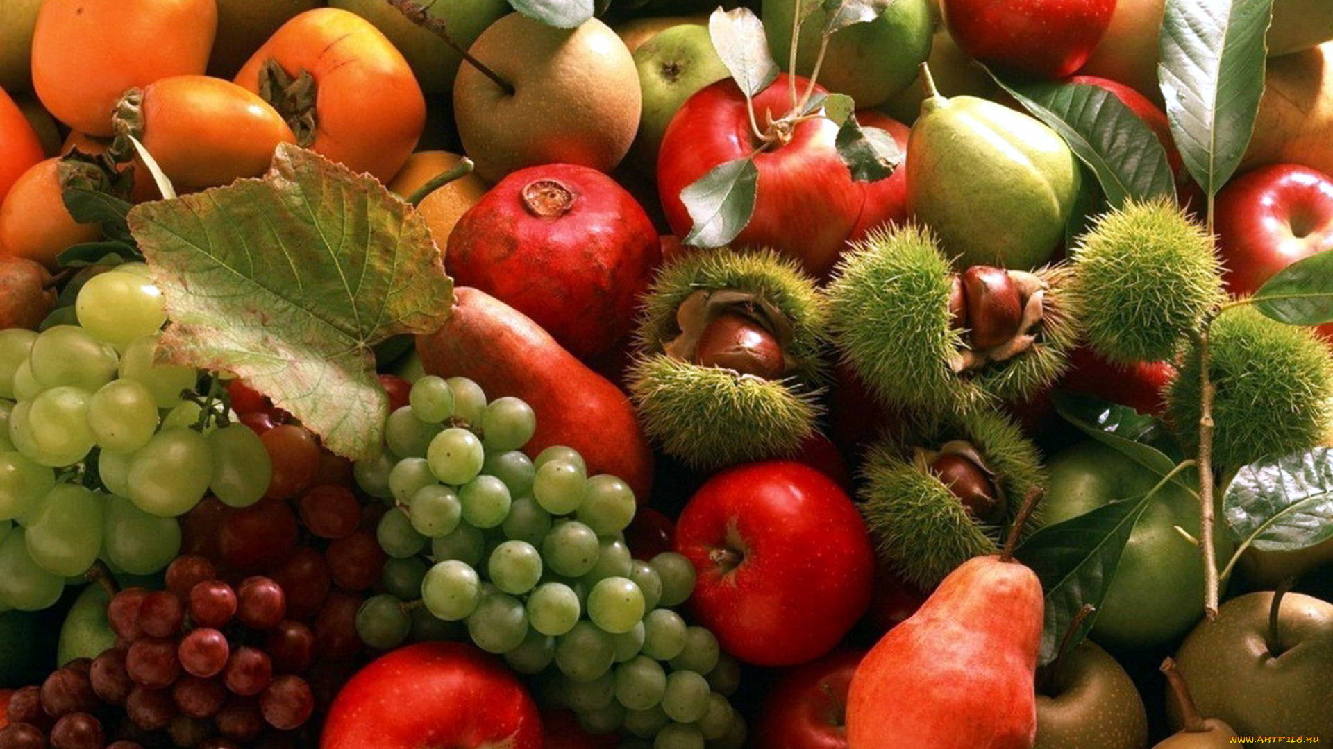 еда, фрукты, , ягоды, яблоки, каштаны, гранат, хурма, виноград, груши