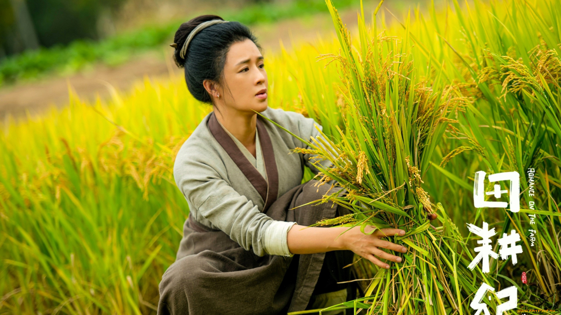 кино, фильмы, romance, on, the, farm, женщина, поле, рис