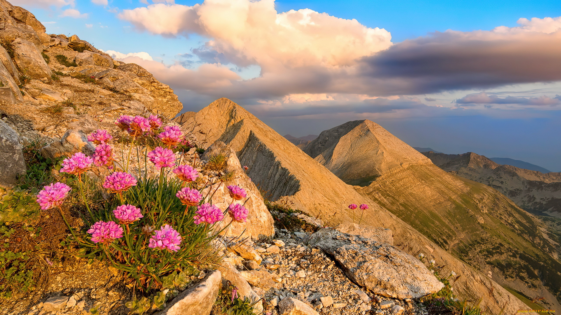 pirin, mountain, bulgaria, природа, горы, pirin, mountain