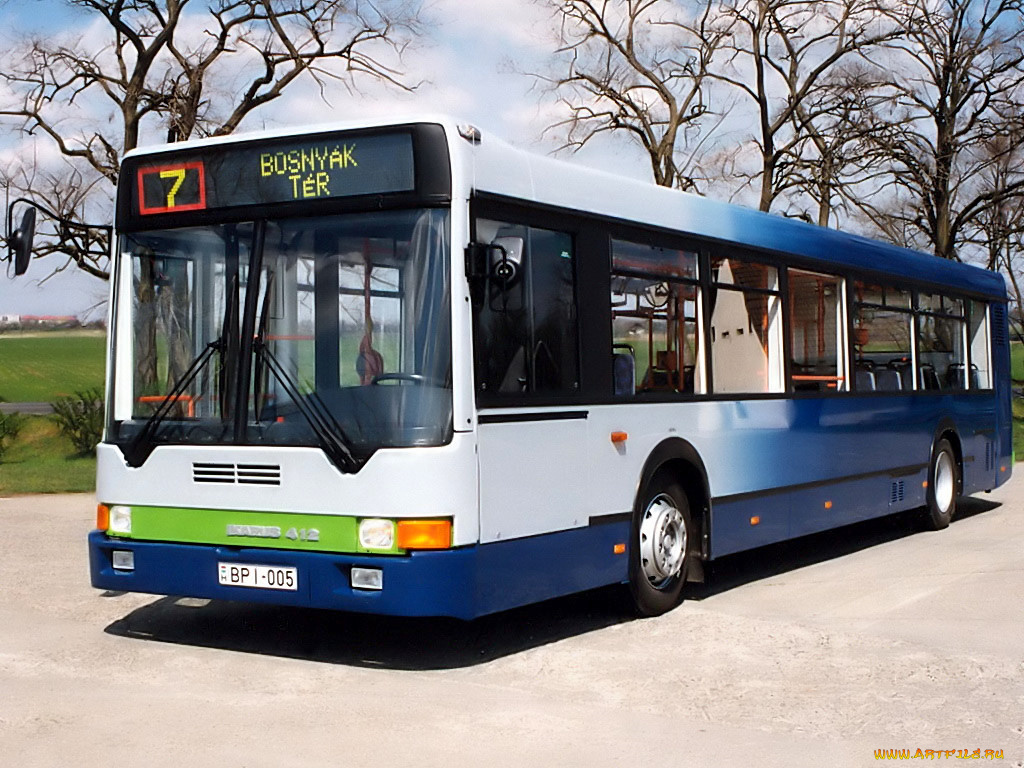 ikarus, 412, автомобили, автобусы