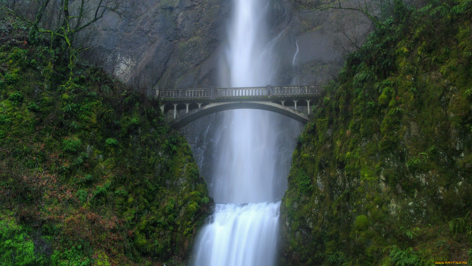 multnomah, falls, oregon, природа, водопады