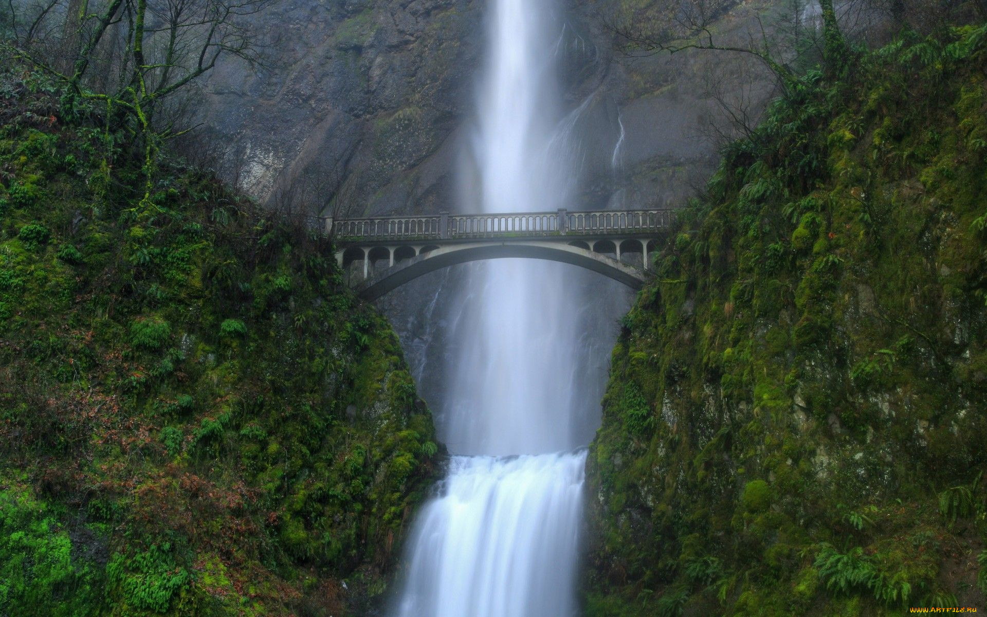 multnomah, falls, oregon, природа, водопады