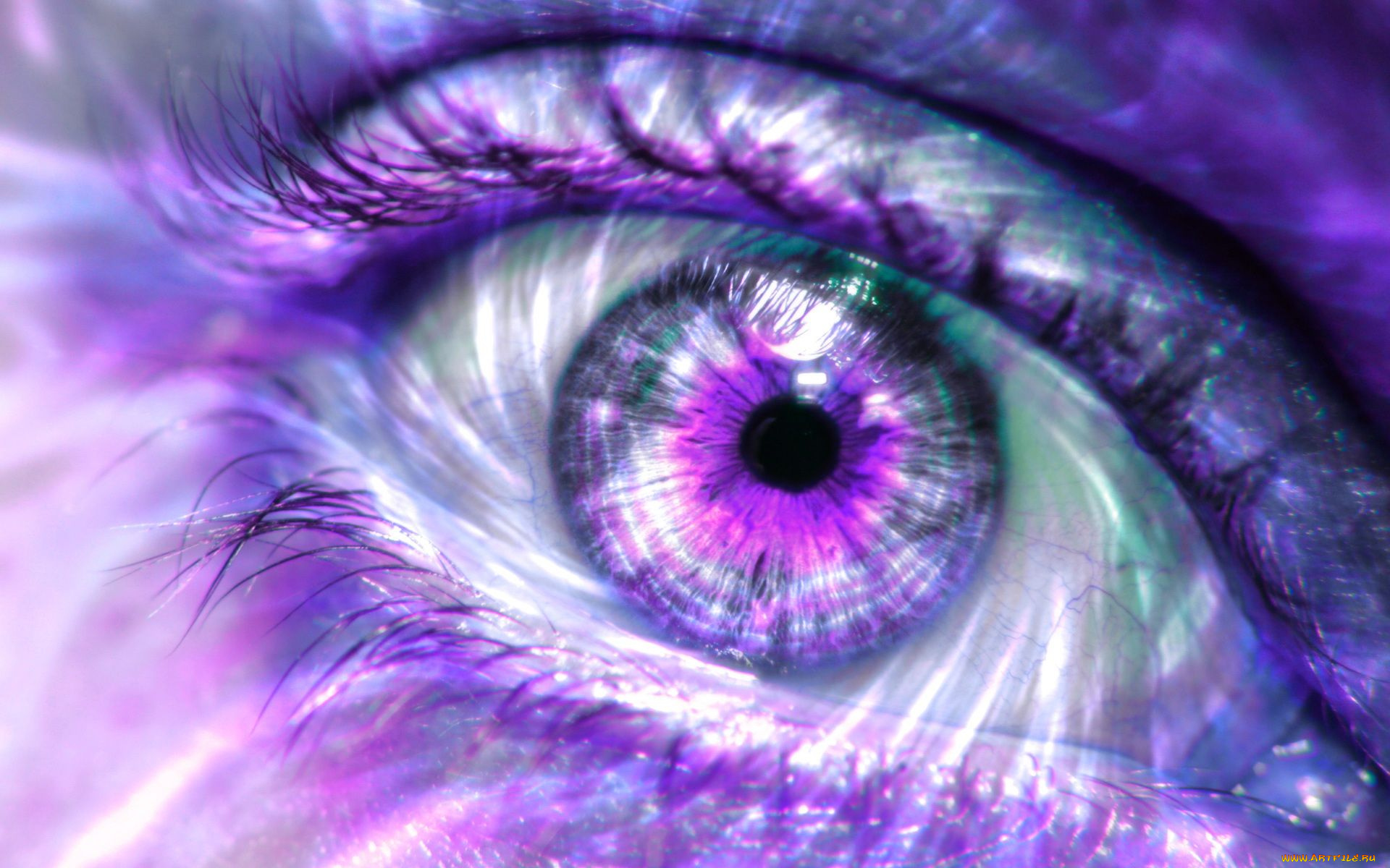 Искрящихся радостью глаз. Красивые глаза. Красивые фиолетовые глаза. Голубо фиолетовые глаза. Фото глаза.