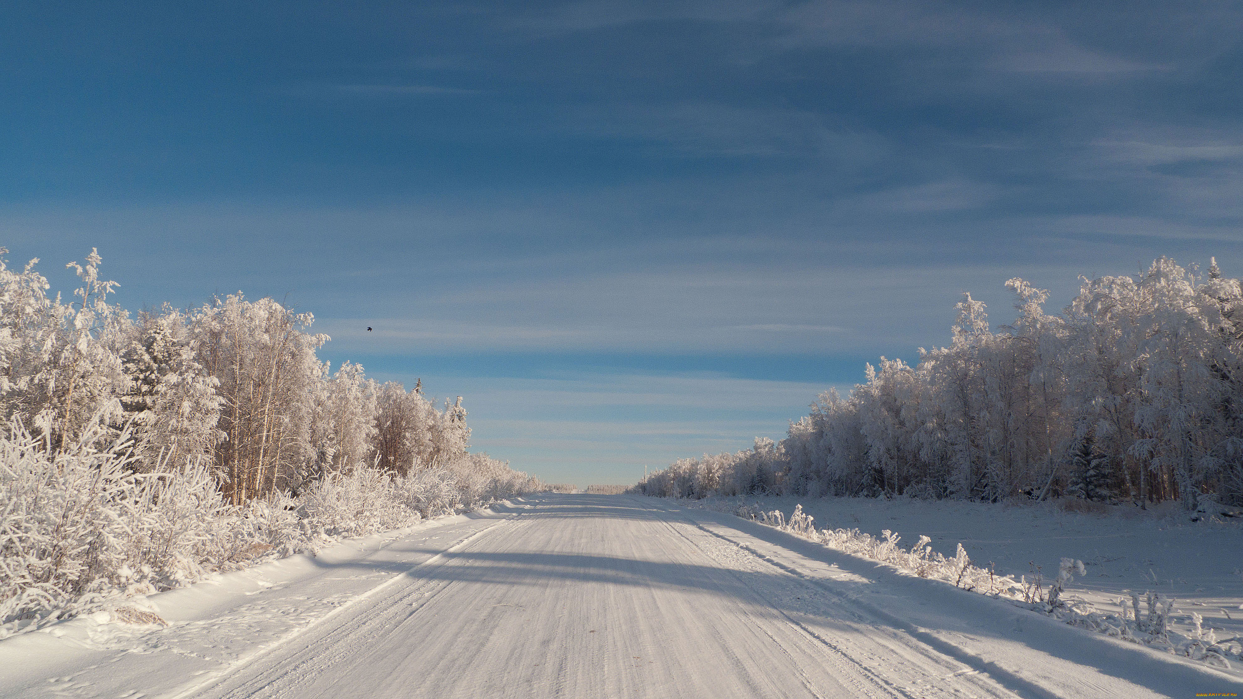 Снежка россия. Зимняя дорога. Заснеженная дорога. Снег на дороге. Снежные дороги.