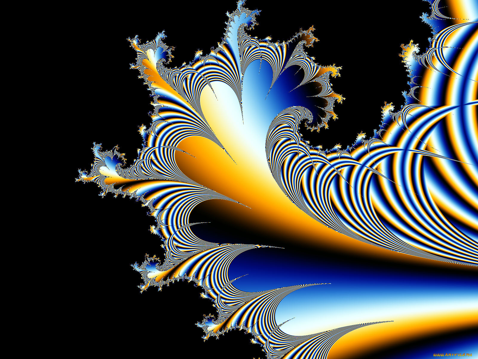 3д, графика, fractal, фракталы, узор, цвета