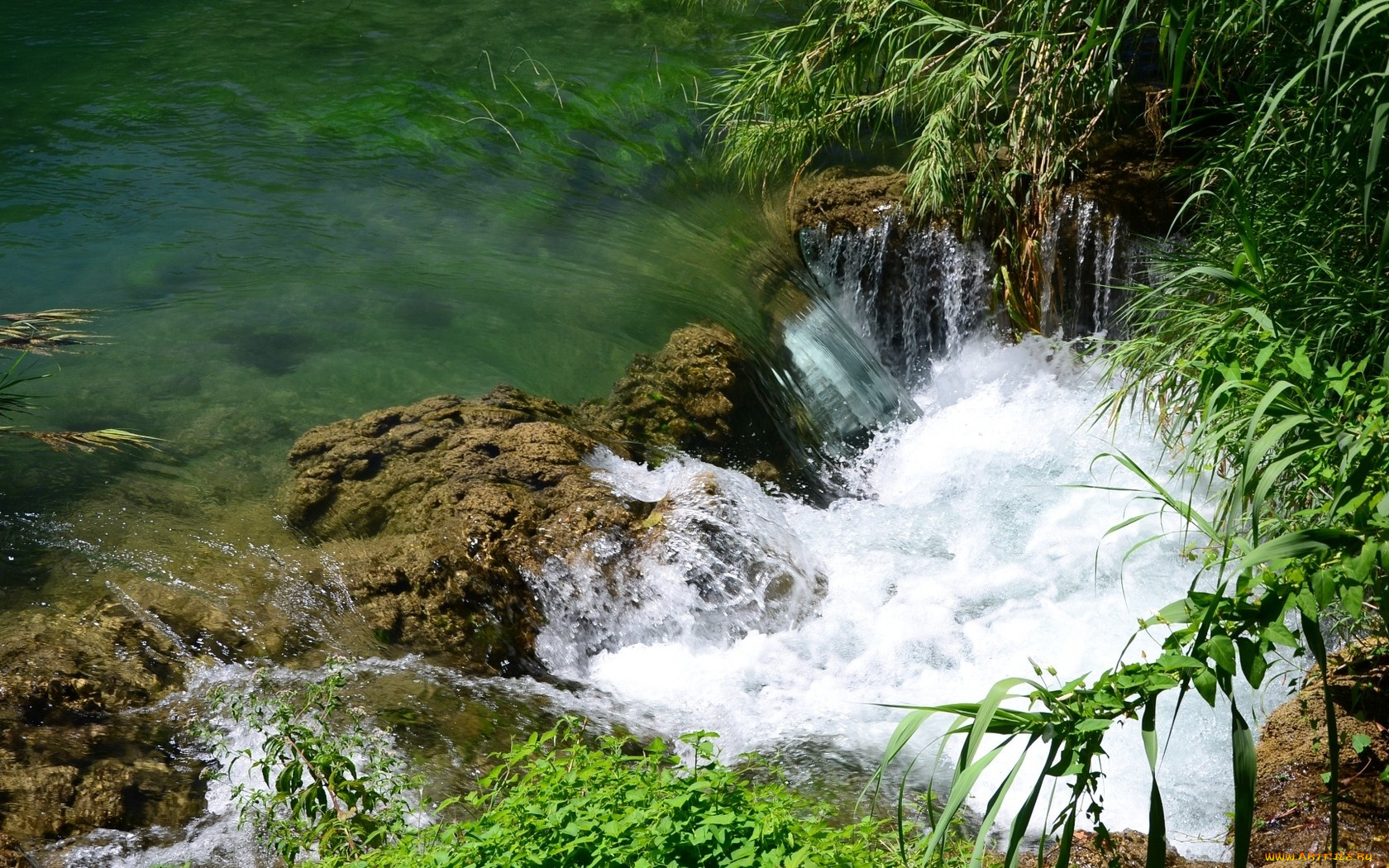 природа, реки, озера, зелень, пена, камни, вода