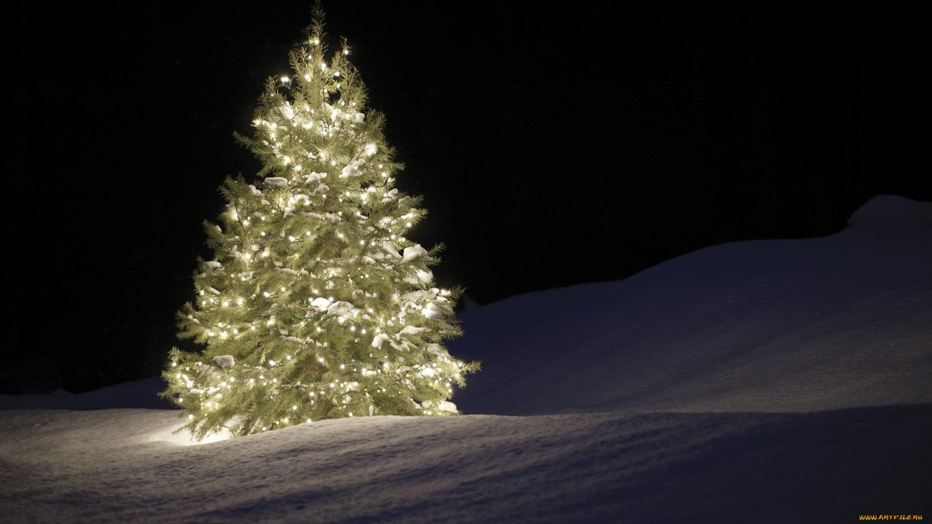 праздничные, Ёлки, снег, елка, гирлянда