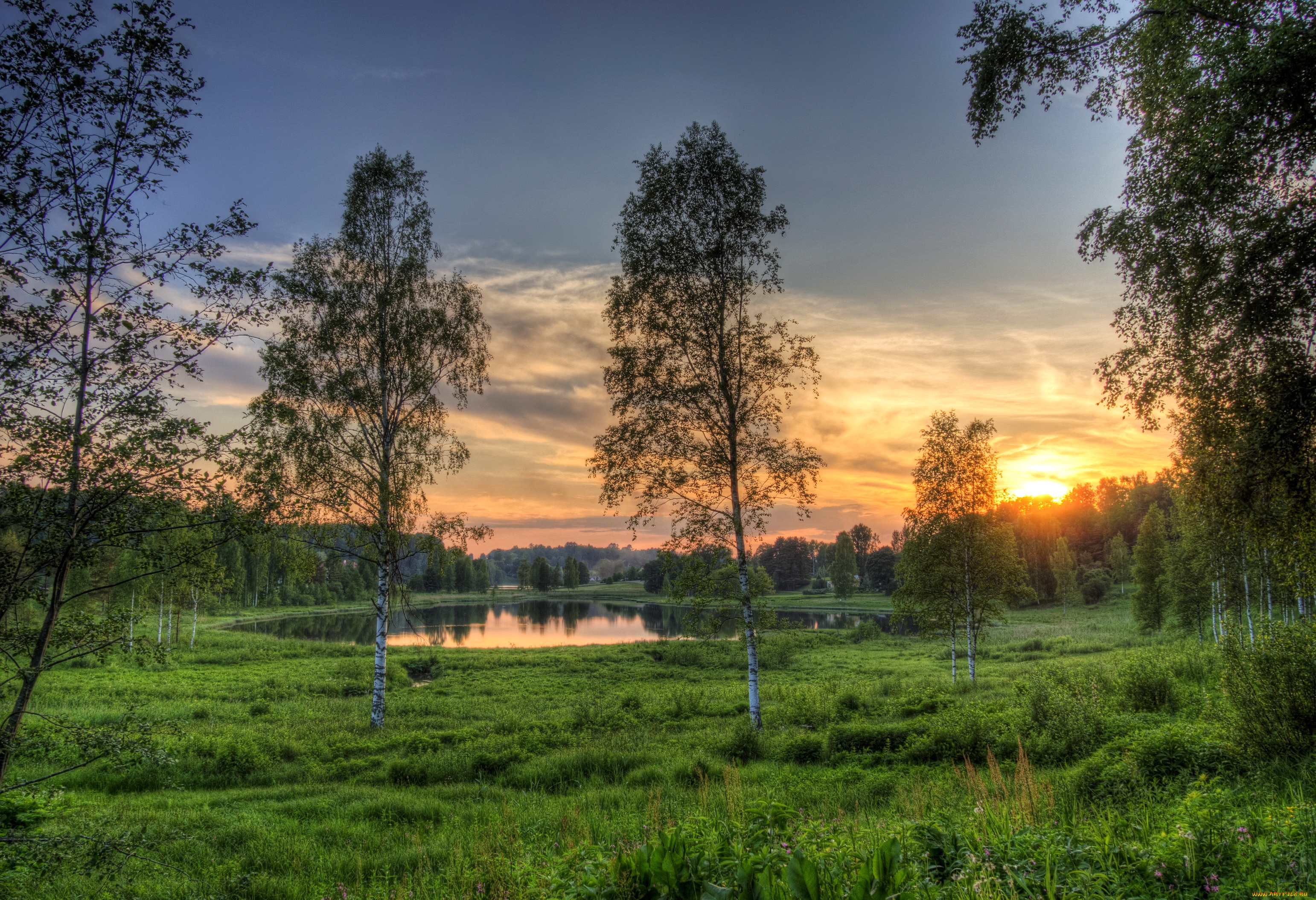 озеро, , rouger, , estonia, природа, пейзажи, rouger, estonia, озеро, деревья, трава