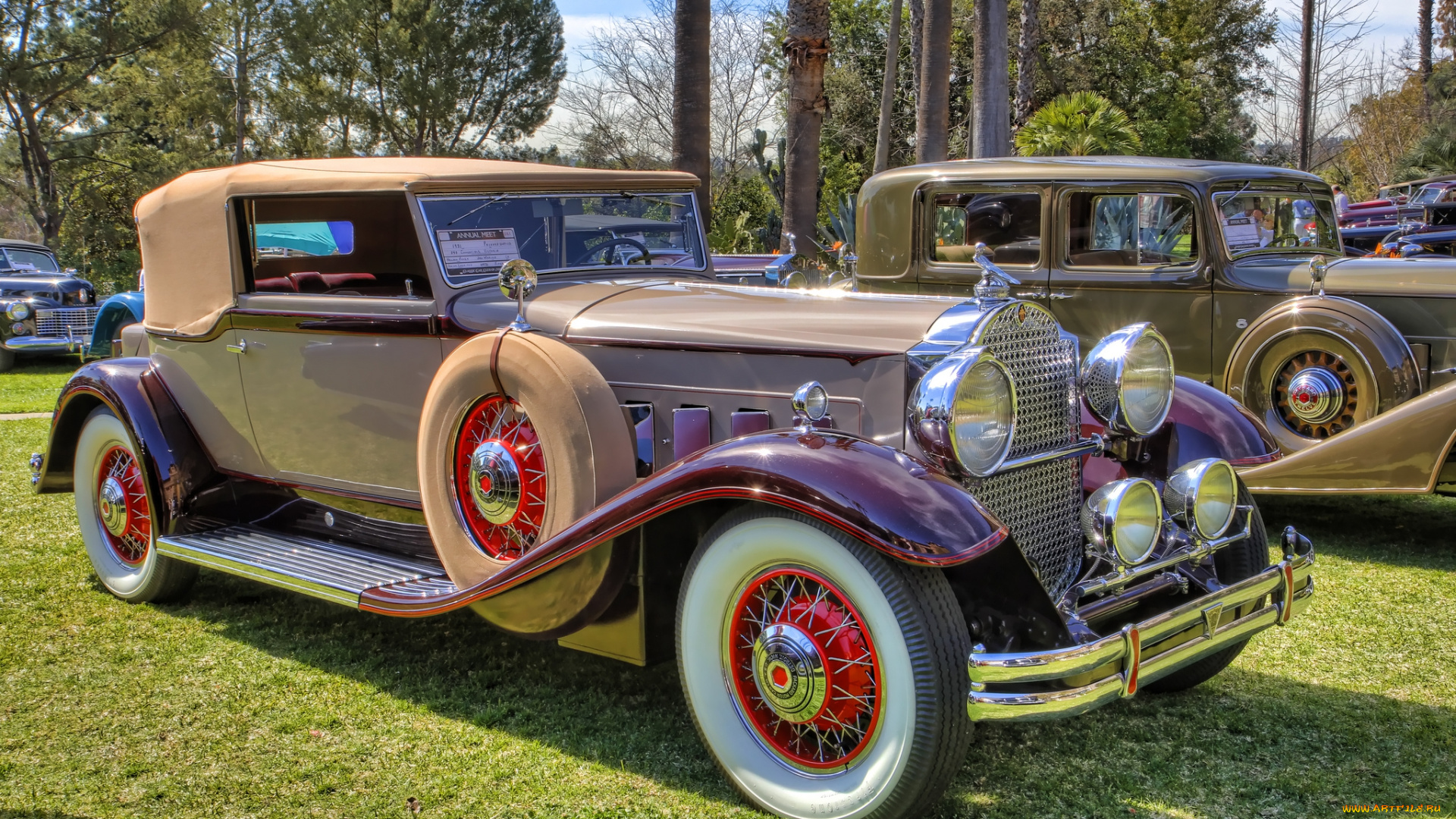 1931, packard, 840, dietrich, convertible, victoria, автомобили, выставки, и, уличные, фото, автошоу, выставка