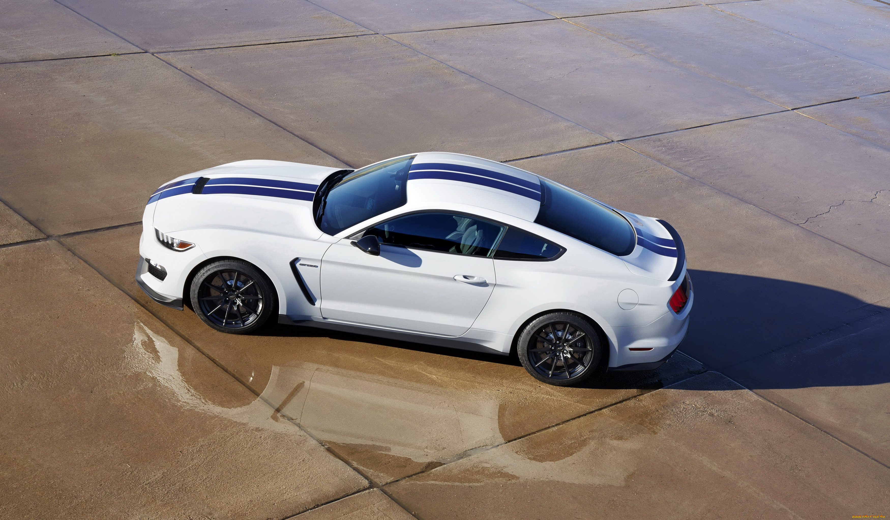 2015, ford, mustang, shelby, gt350, автомобили, mustang, ford, тюнинг, белый, shelby