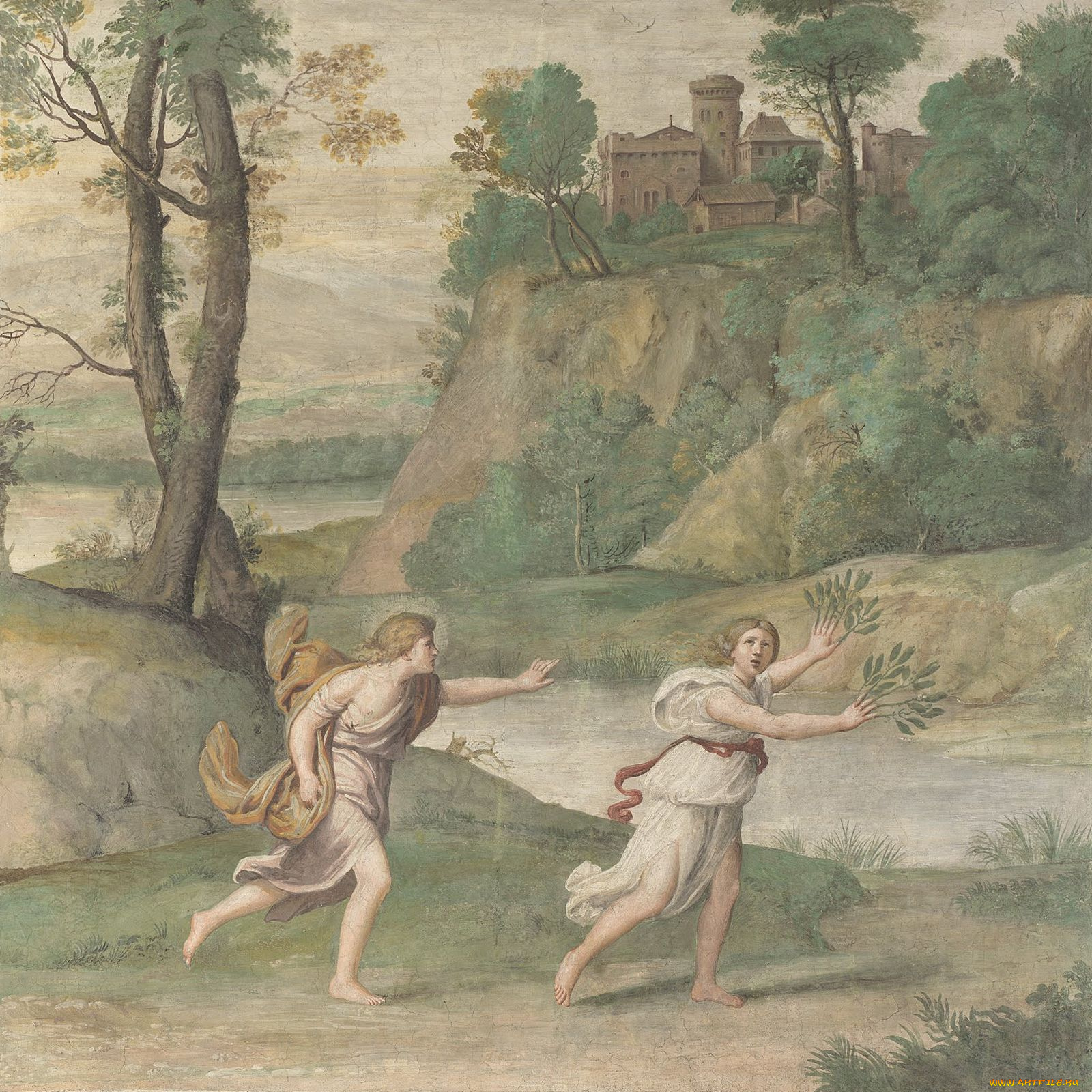 domenico, zampieri, apollo, pursuing, daphne, рисованные, domenichino