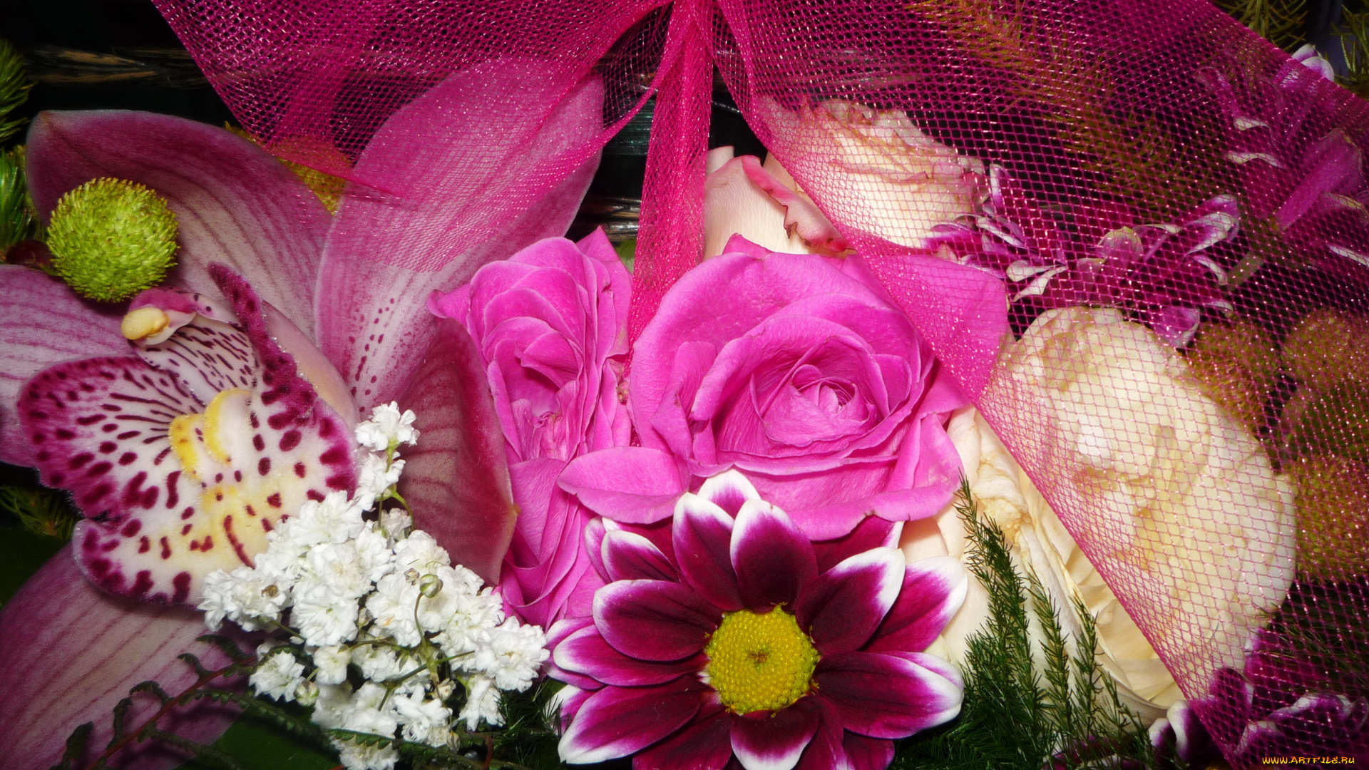 цветы, букеты, , композиции, орхидеи, розы, хризантемы, букет