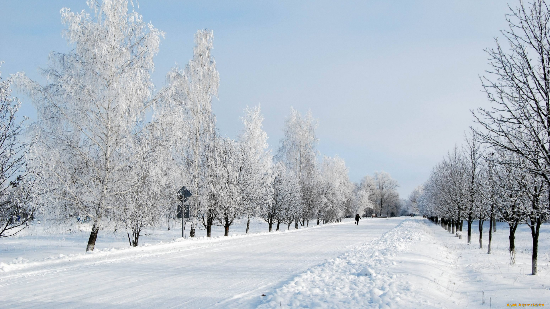 природа, дороги, деревья, дорога, снег