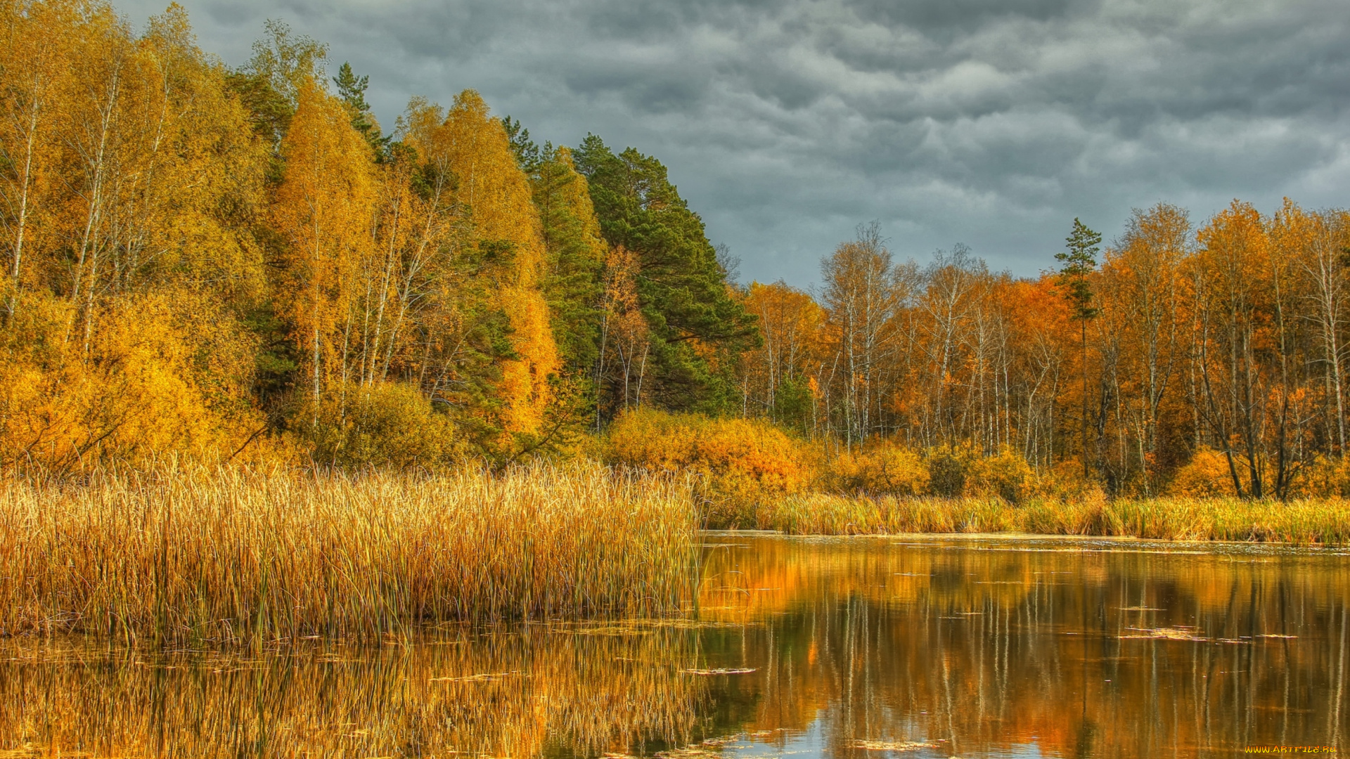 природа, реки, озера, осень