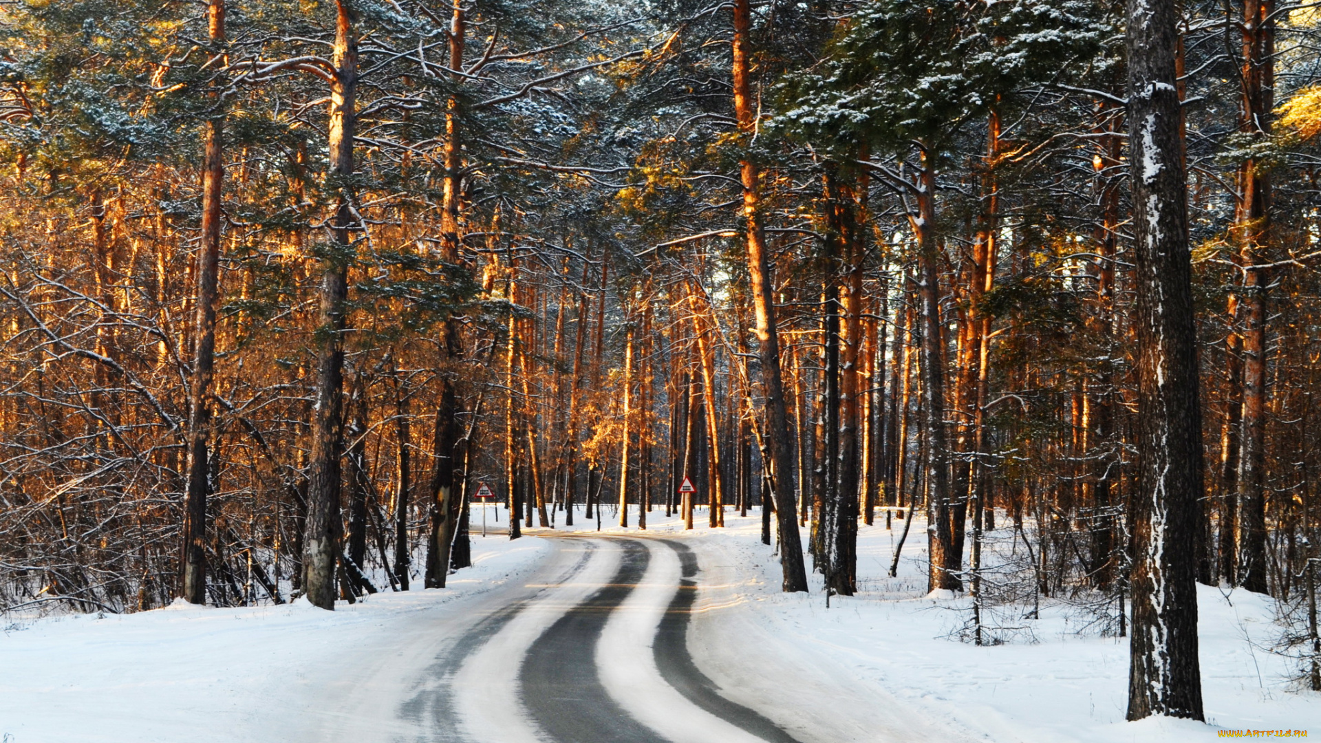 природа, зима, снег, дорога, сосны, лес