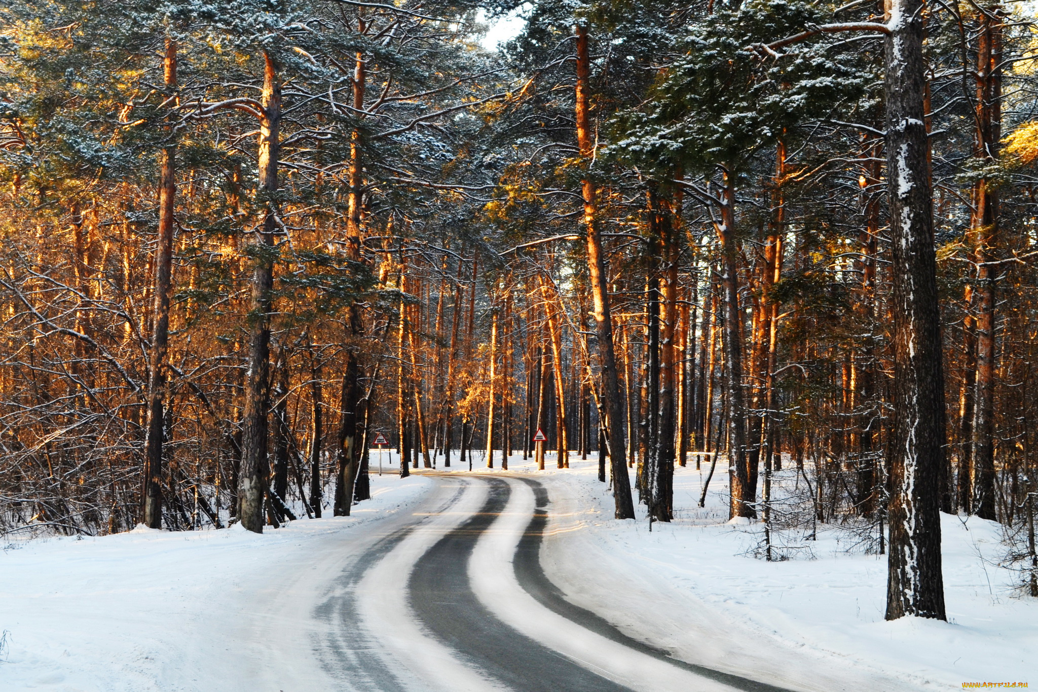 природа, зима, снег, дорога, сосны, лес