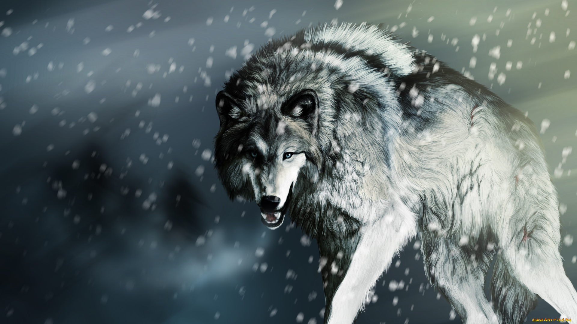 рисованное, животные, , волки, волк, взгляд, снег
