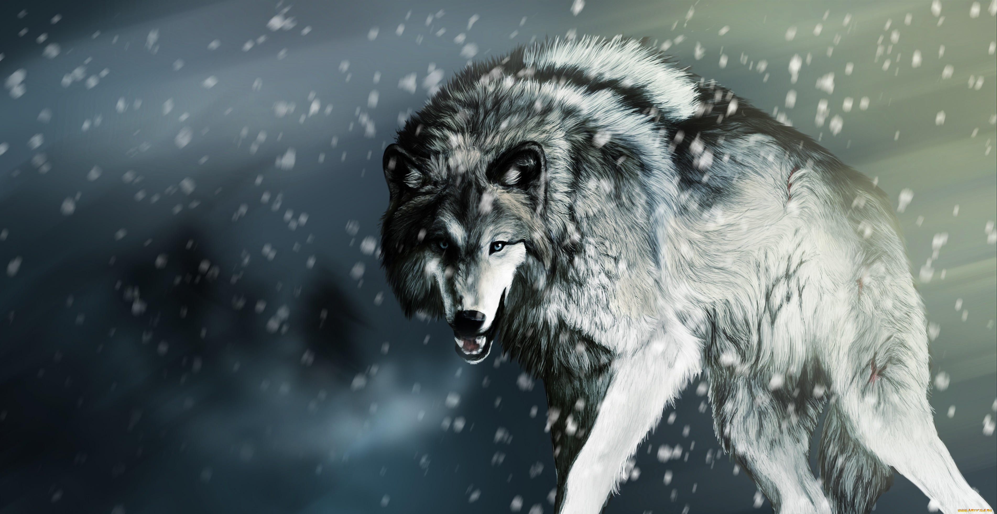 рисованное, животные, , волки, волк, взгляд, снег
