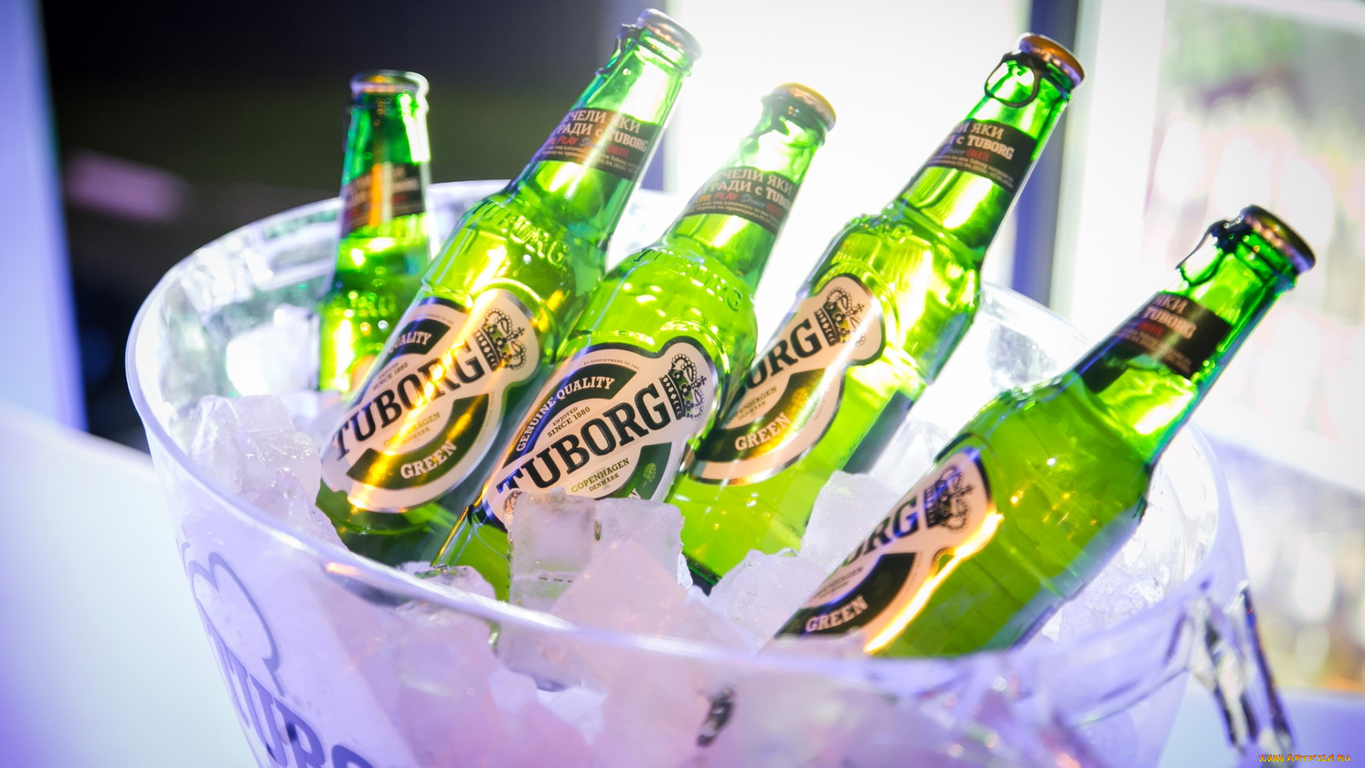 бренды, tuborg, пиво