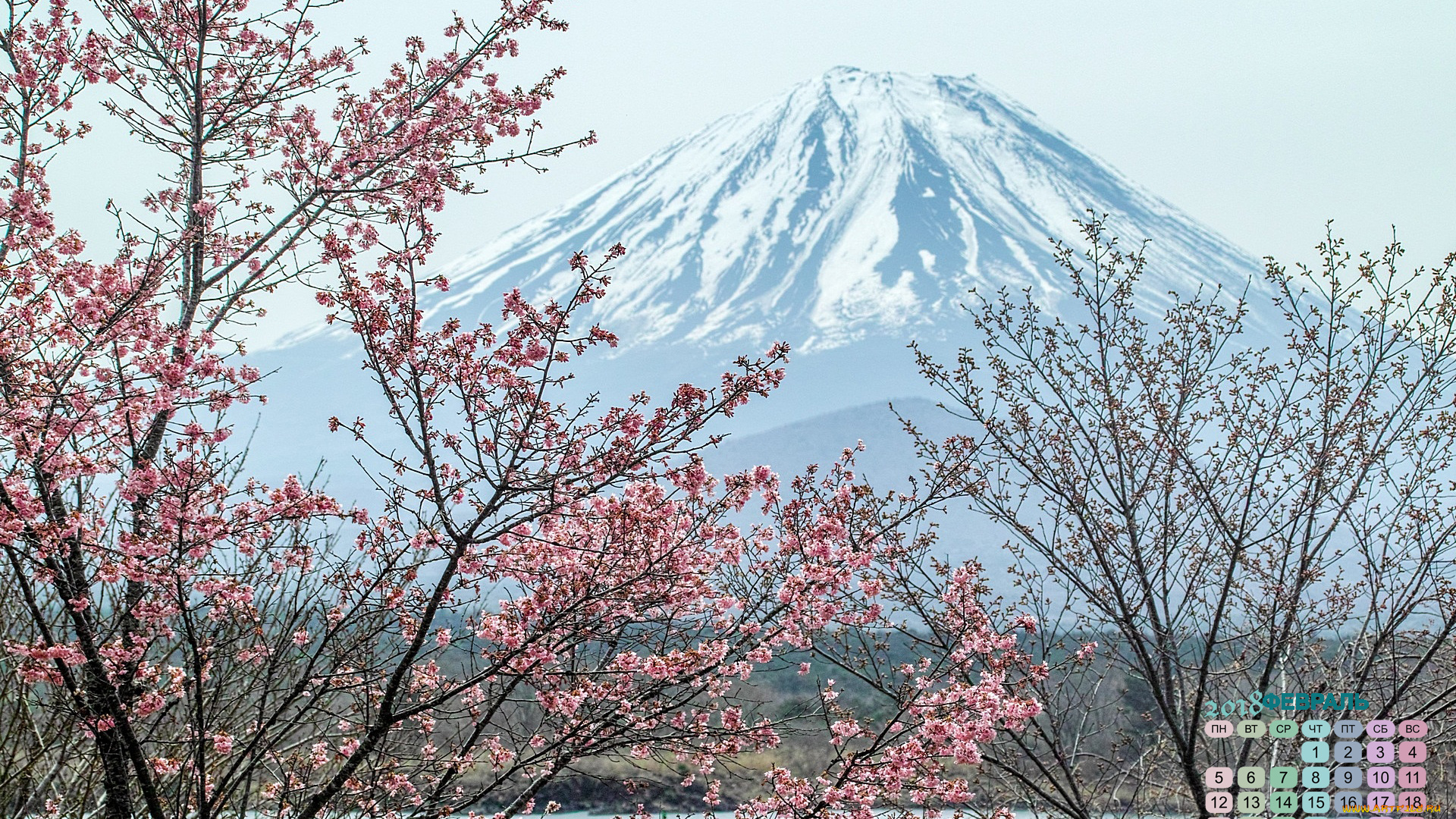 Япония, календари, природа, дерево, 2018, вулкан