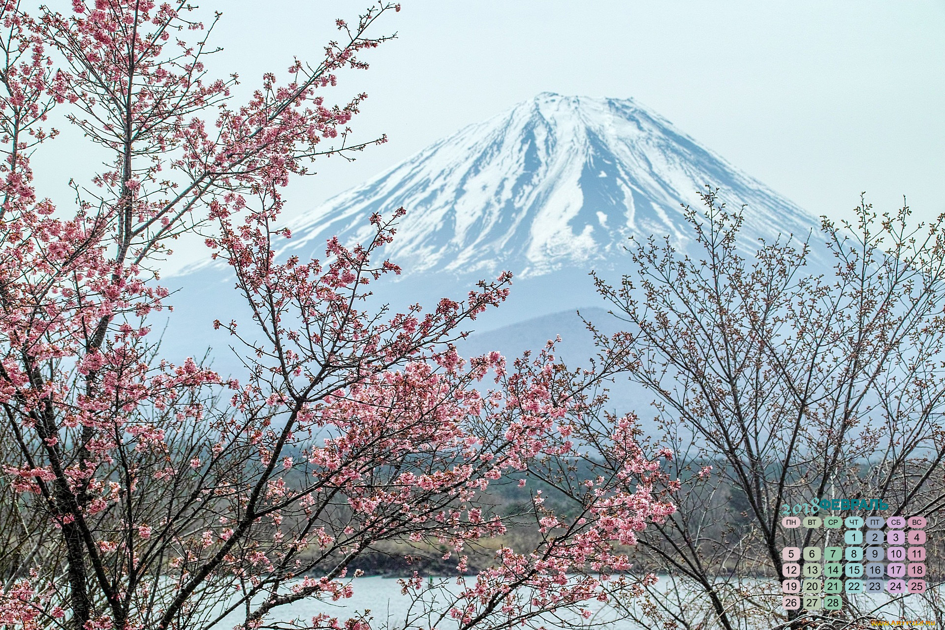 Япония, календари, природа, дерево, 2018, вулкан