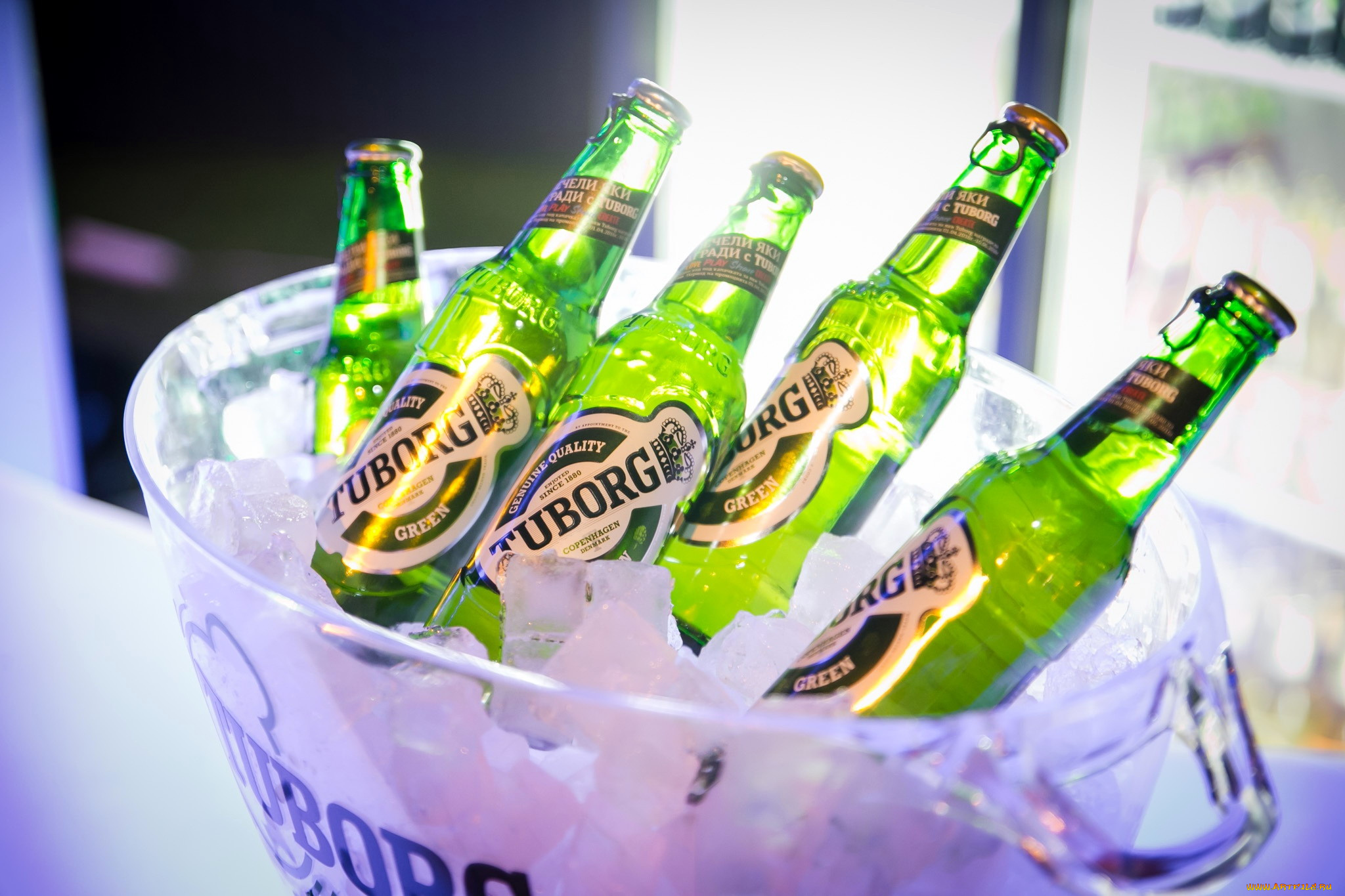 бренды, tuborg, пиво