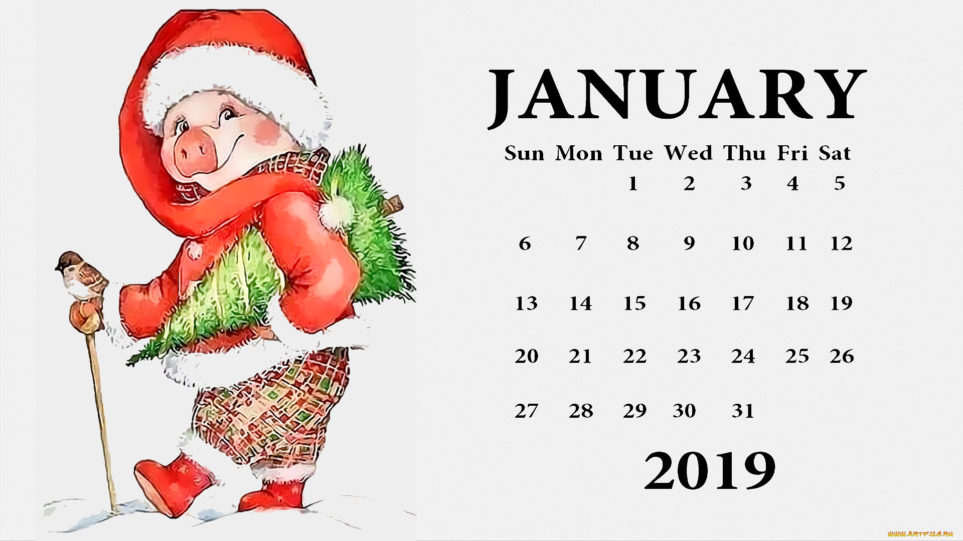 календари, праздники, , салюты, свинья, шапка, птица, елка, поросенок