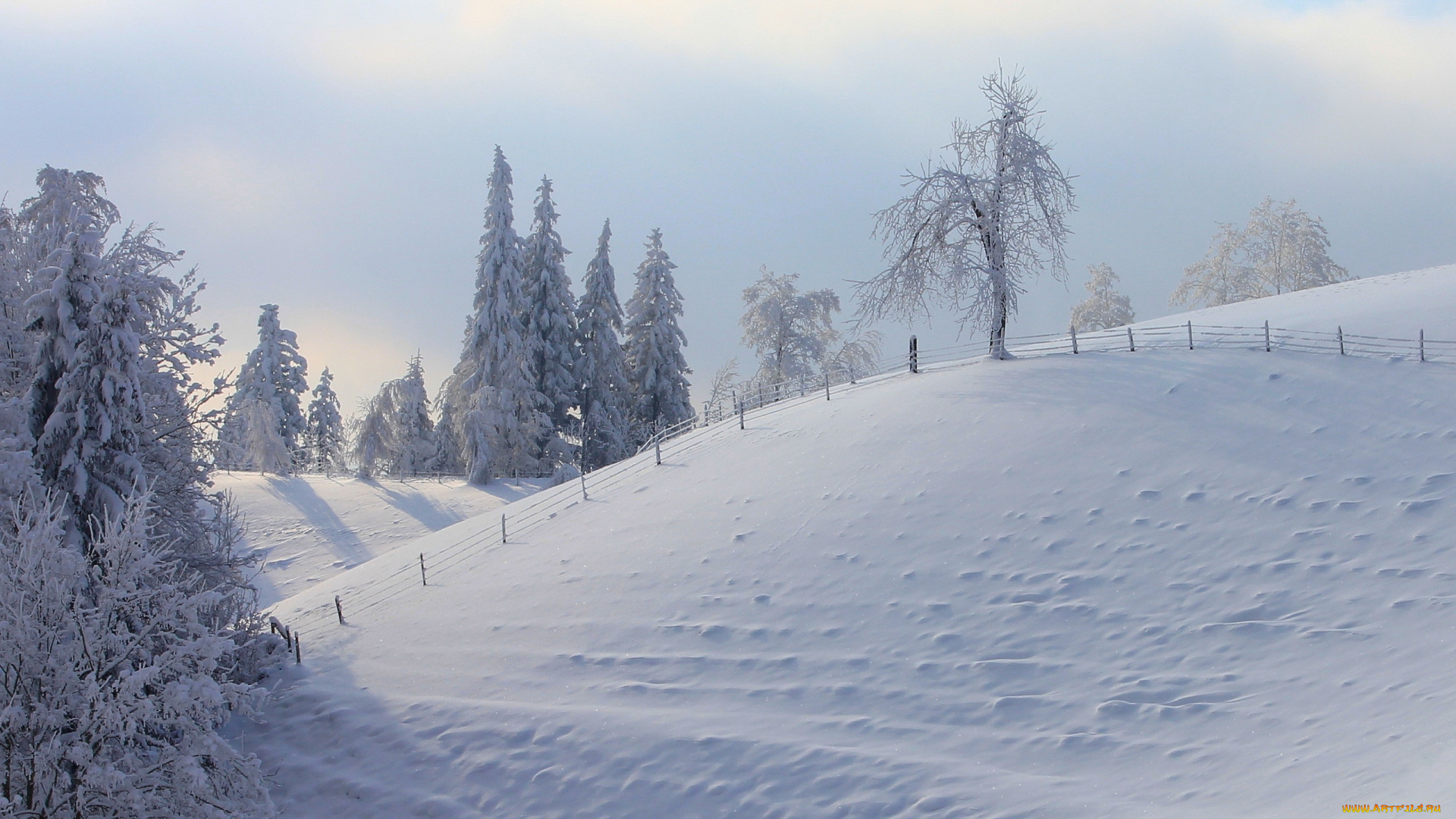 природа, зима, снег, деревья, забор
