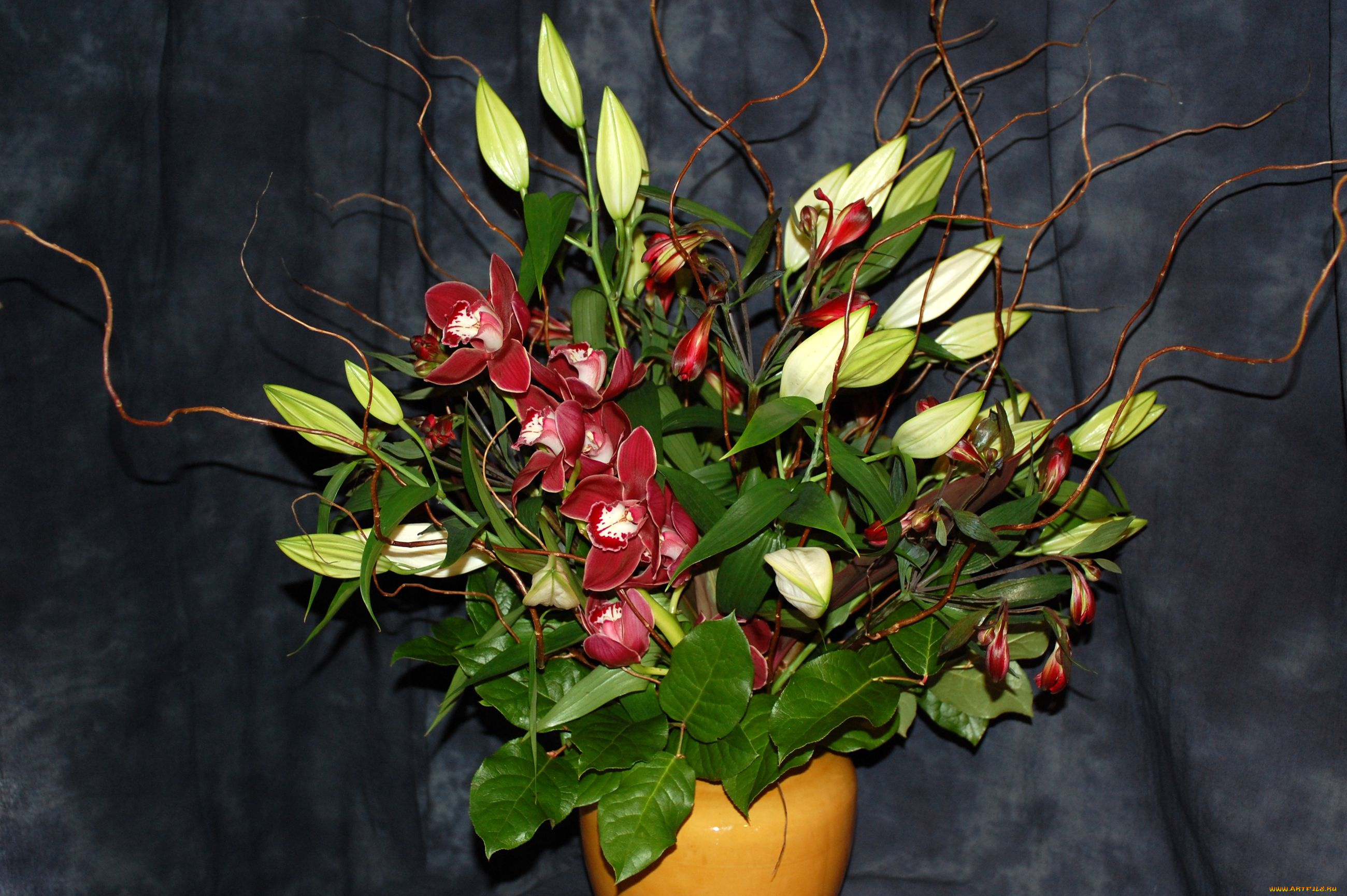 цветы, букеты, композиции, орхидея, бутоны, ветки, ваза