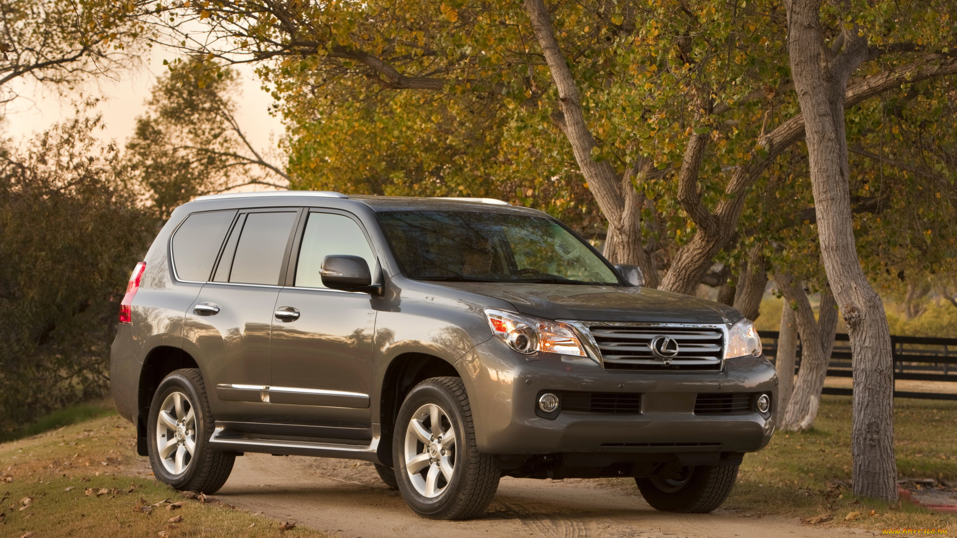 2010, lexus, gx460, автомобили, lexus, деревья, дорога